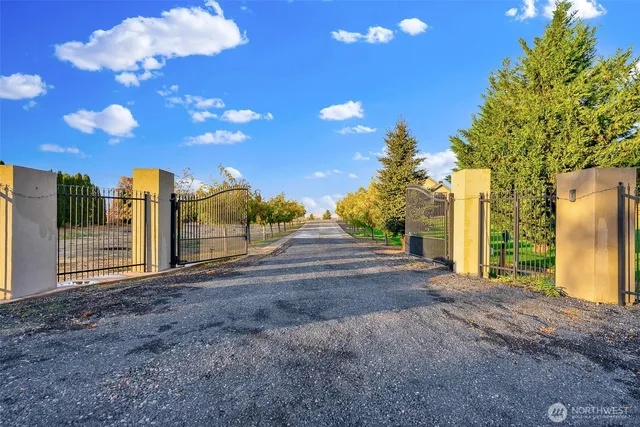 a view of a house with backyard and tree
