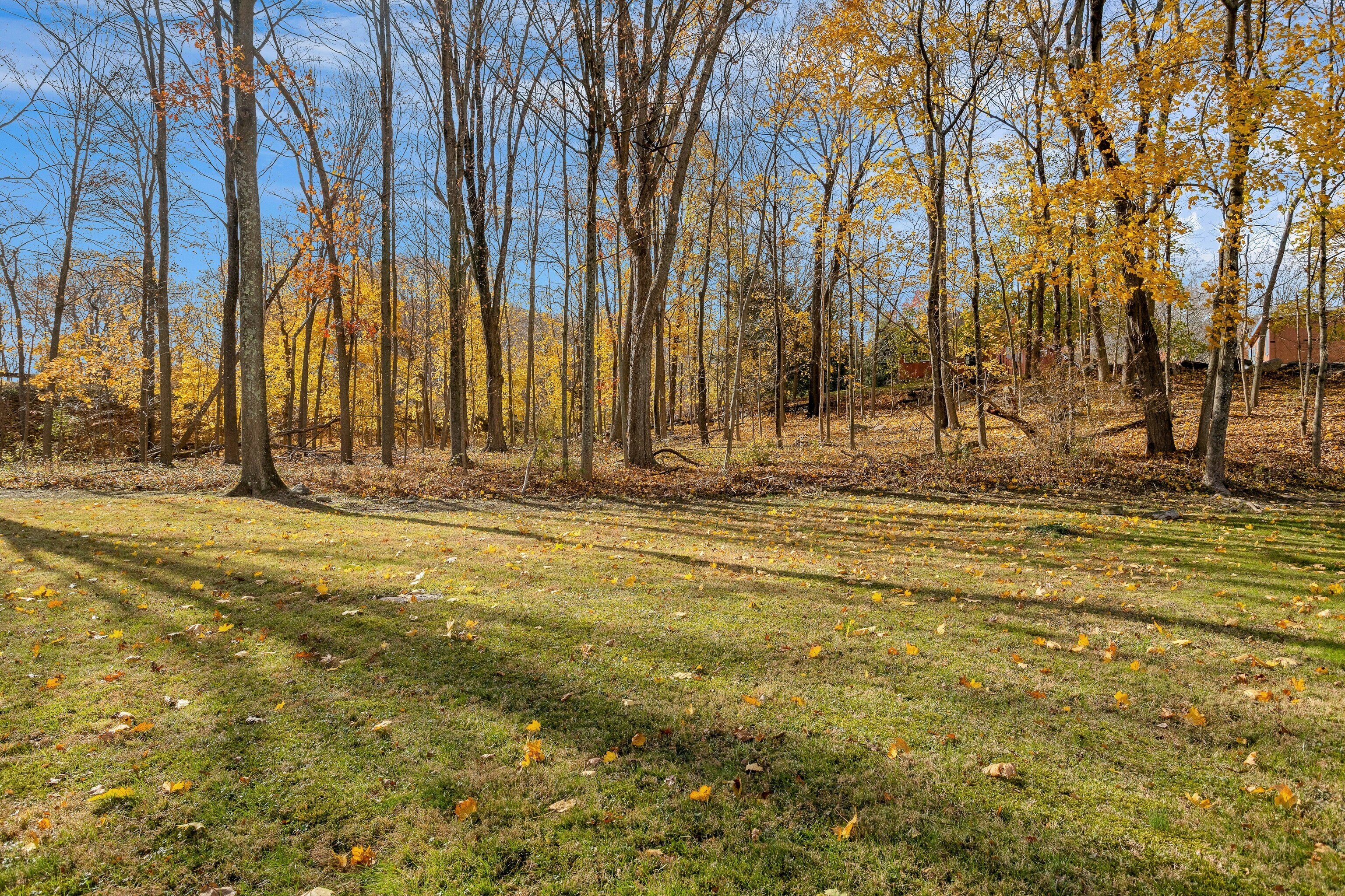 64 Jelliff Mill Road New Canaan, CT 06840 - Photo 24 of 24 a view of outdoor space with garden