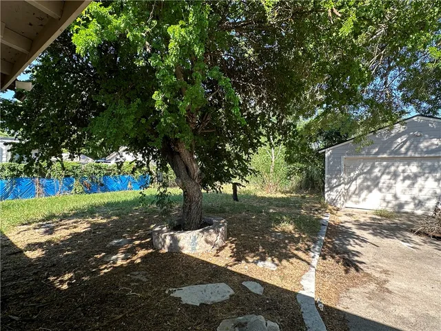a view of a yard with plants and trees