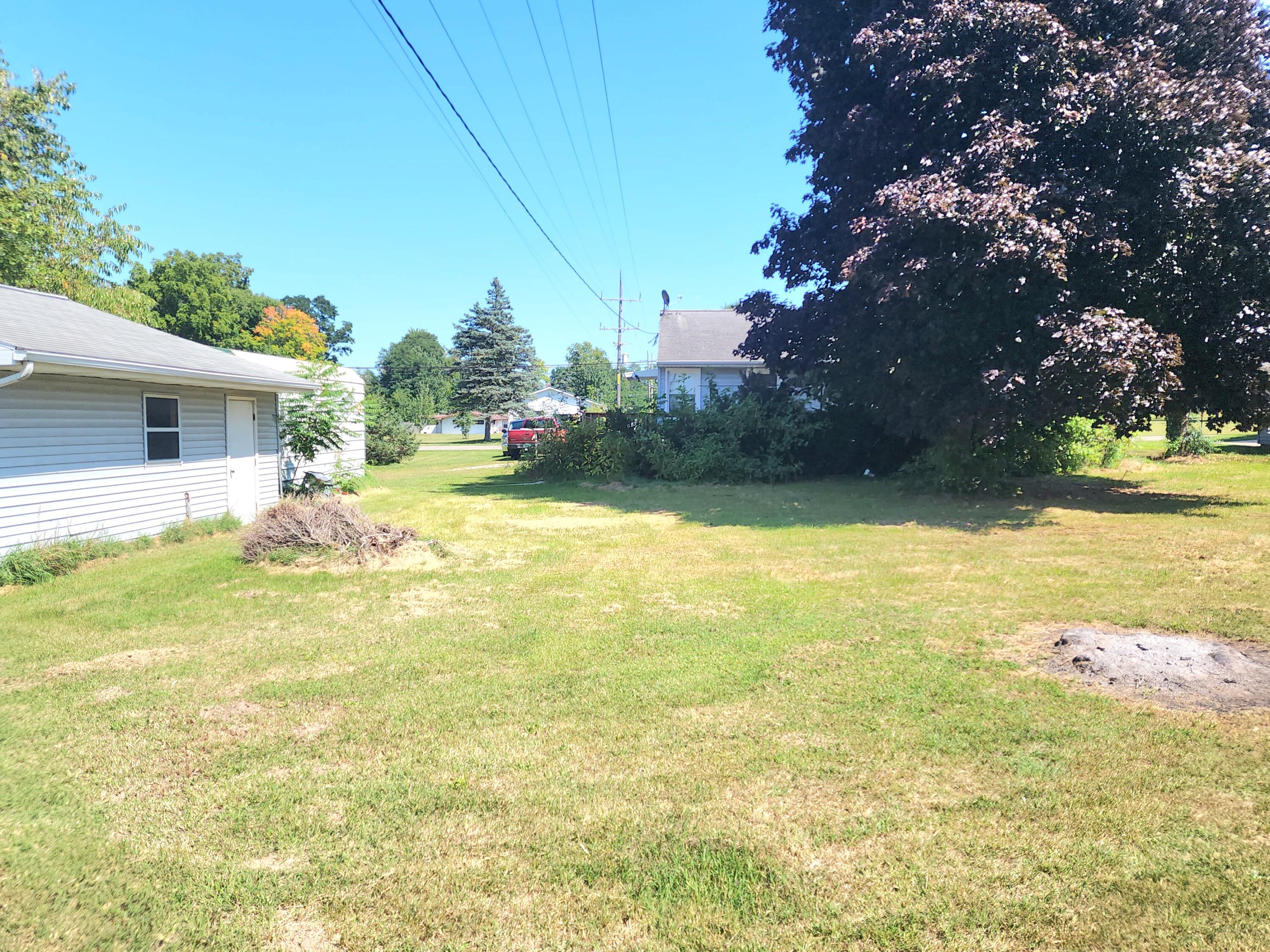 256 Sprague Road Coldwater, MI 49036 - Photo 18 of 27 Backyard