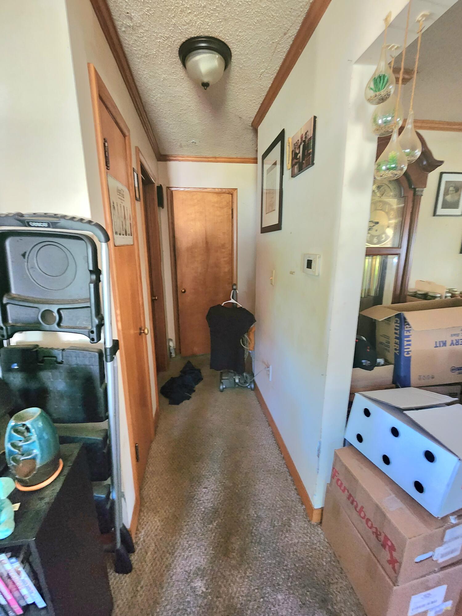 256 Sprague Road Coldwater, MI 49036 - Photo 4 of 27 Hallway