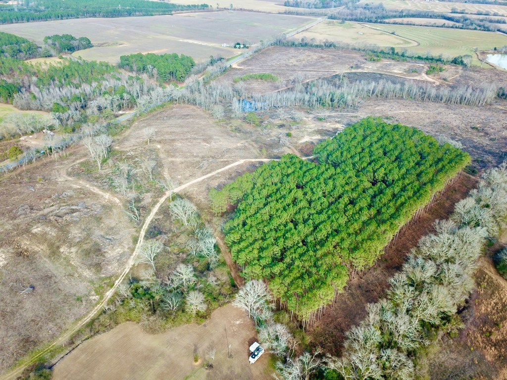 20-acres Hudson Road Columbia, AL 36319 - Photo 23 of 40