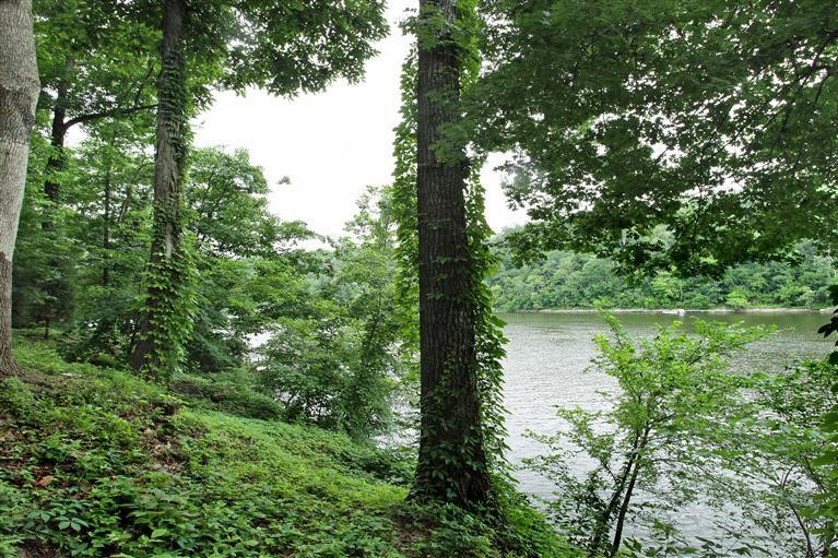 1328 Carry Nation Road Lancaster, KY 40444 - Photo 25 of 43 Photo 25