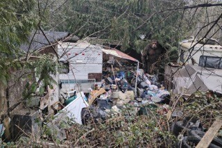611 East Daniels Road Shelton, WA 98584 - Photo 4 of 11 a view of a wooden house with a yard