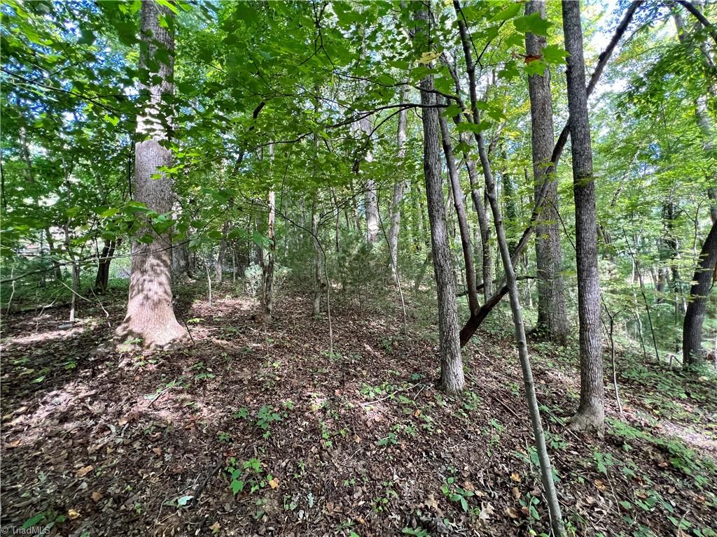 0 Jackson Road, Unit 1 54 Mount Airy, NC 27030 - Photo 8 of 9 Gallery Image 8