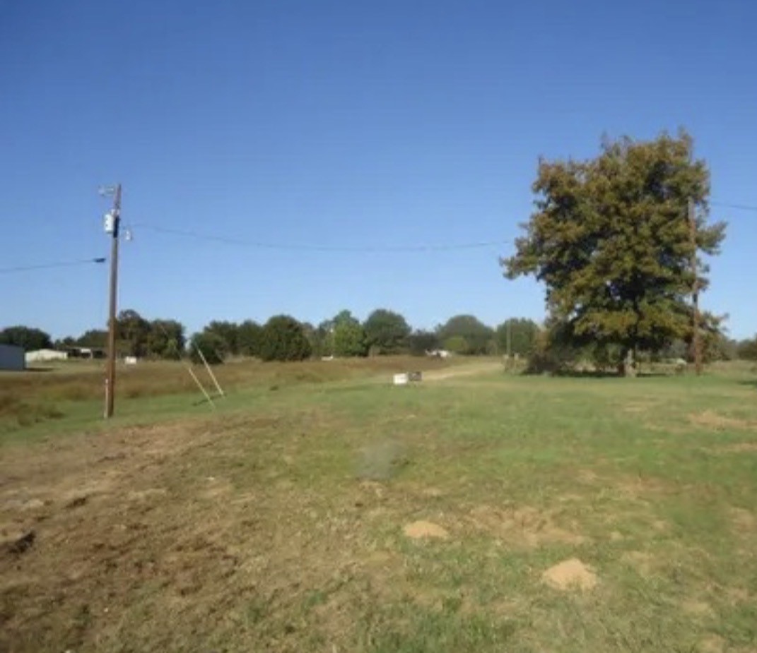 26601 Sun Belt Tool, TX 75143 - Photo 13 of 15 a view of lake view with mountain