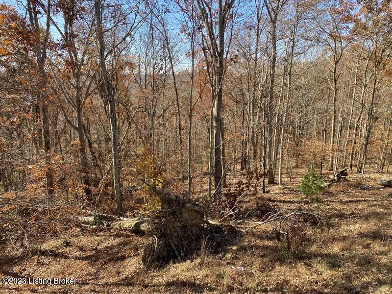 787 Noah Stevenson Road Bee Spring, KY 42207 - Photo 25 of 25 3 Bed, 2 Bath Home for Sale in Kentucky, Nolin Lake Area