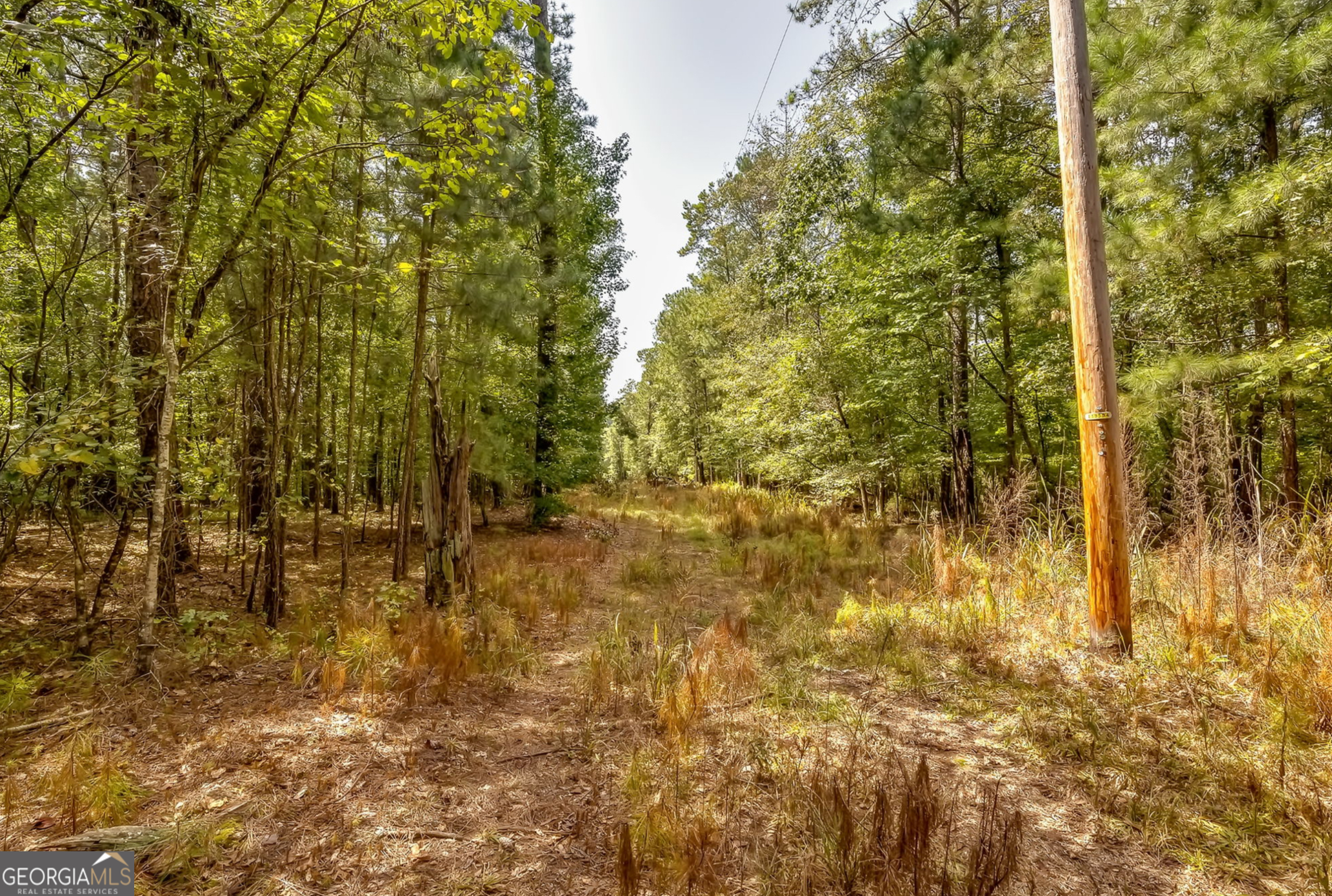 1261 Crumbley Road McDonough, GA 30252 - Photo 2 of 4 a view of residential area with trees