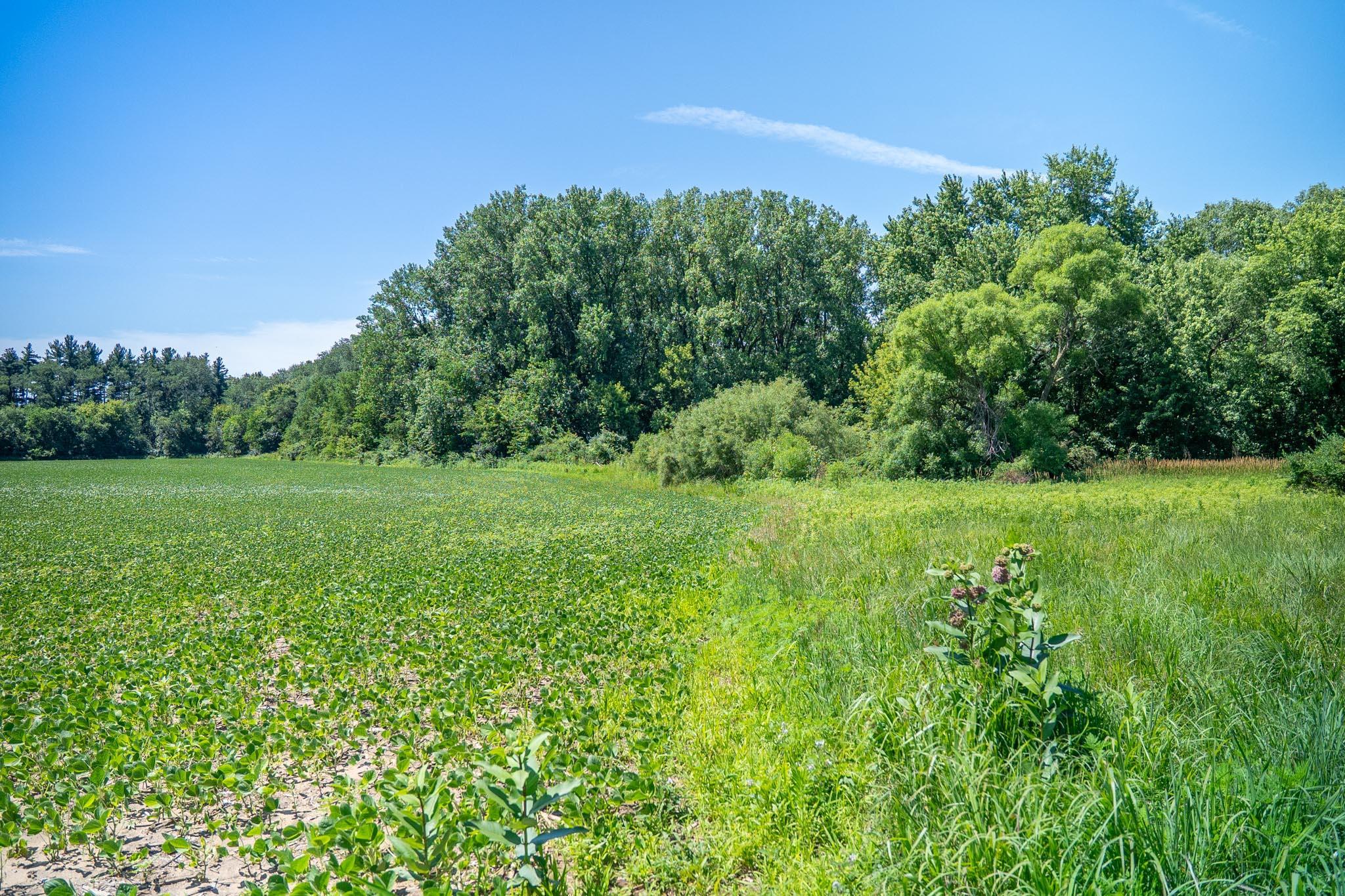 0 Inlet Road Amboy, IL 61310 - Photo 70 of 83