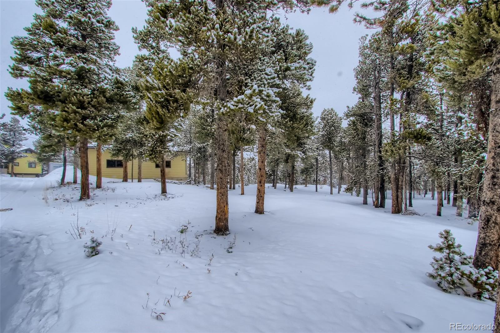 485 Feldspar Road Black Hawk, CO 80422 - Photo 3 of 22 Gallery Image 3