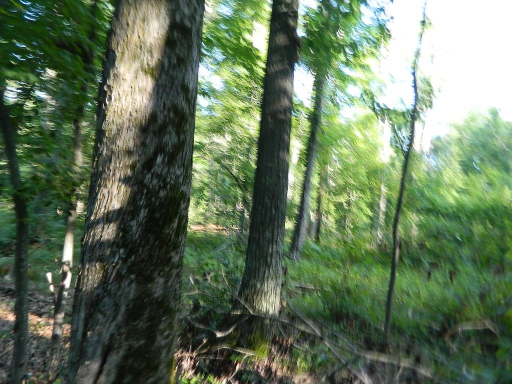 Tbd South Coldwater Road Blanchard, MI 49310 - Photo 4 of 8