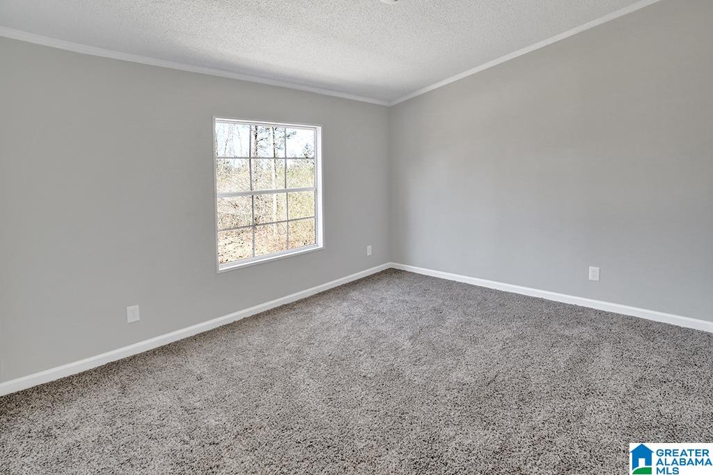 90 Buddy Lane Springville, AL 35146 - Photo 19 of 27