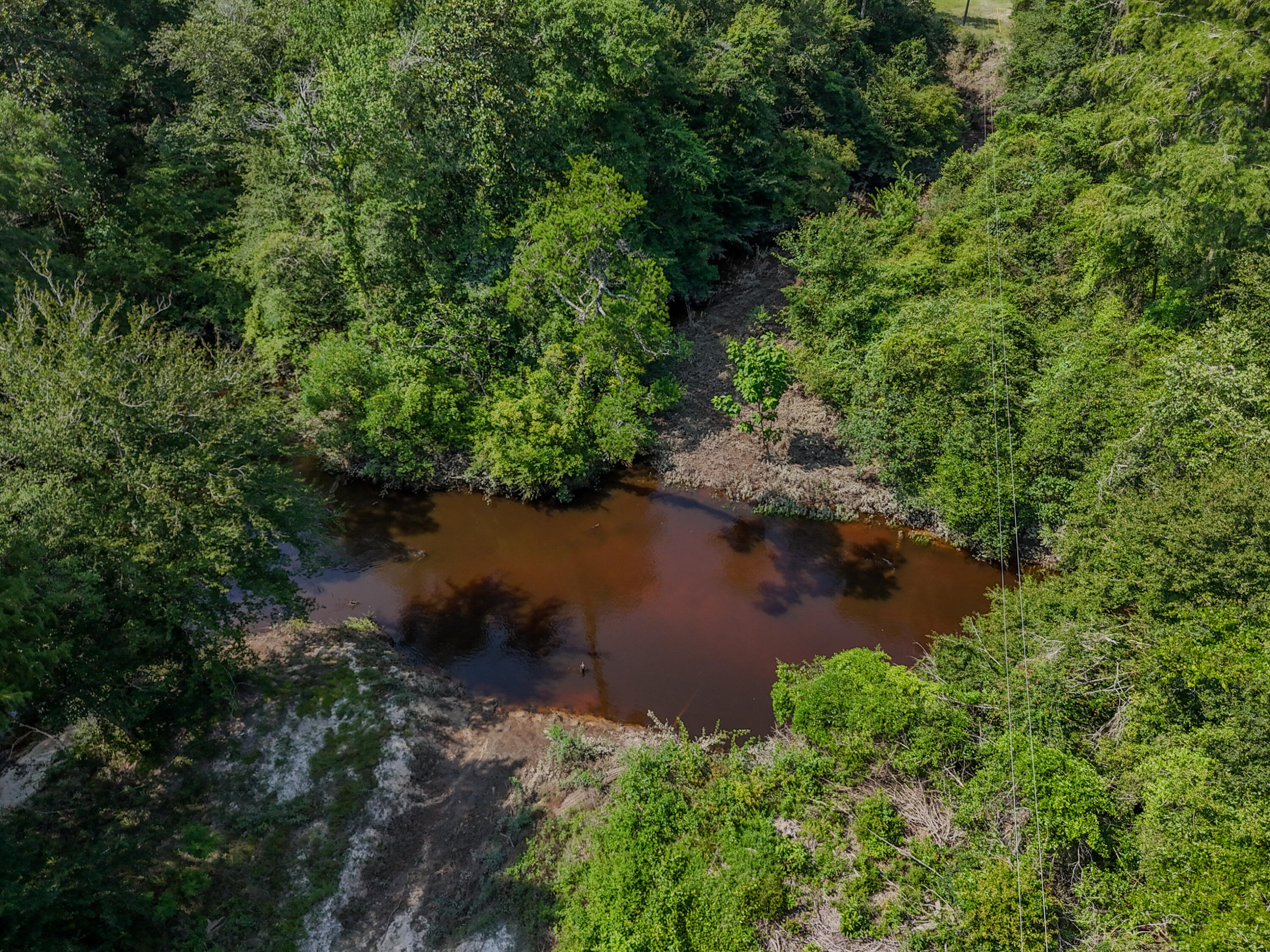 3128 County Road 10 Samson, AL 36477 - Photo 46 of 67 DJI_20260630231743_0038_D