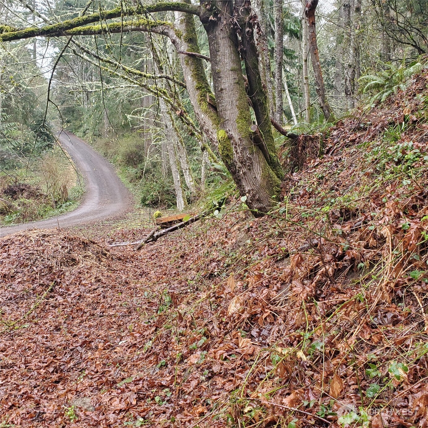 0 Old Military Road Northeast Poulsbo, WA 98370 - Photo 4 of 5