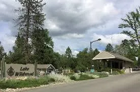 a view of a street with fire pit and trees