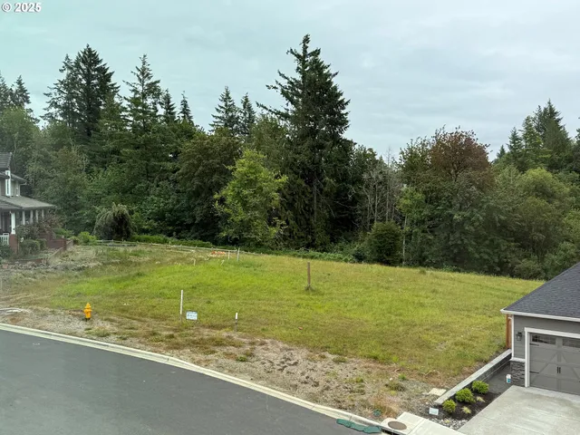 a view of a field with a tree in the background