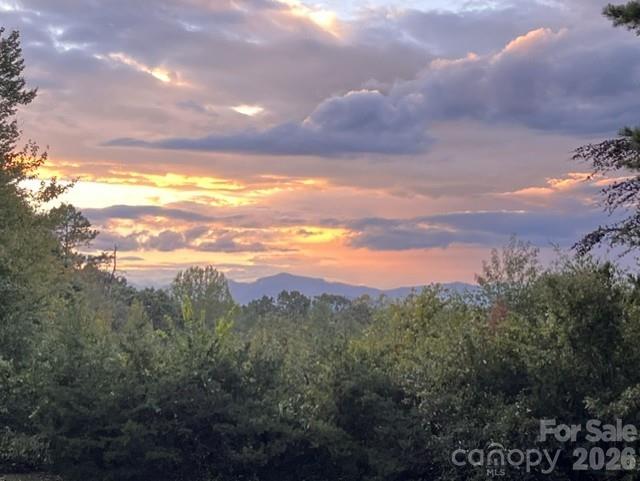 138 Woods End Road Rutherfordton, NC 28139 - Photo 7 of 7
