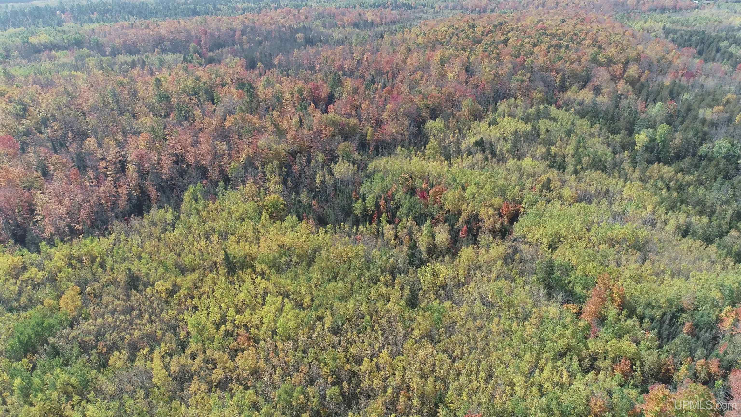 40-acres Mattson Road Felch, MI 49831 - Photo 39 of 45 Gallery Image 39