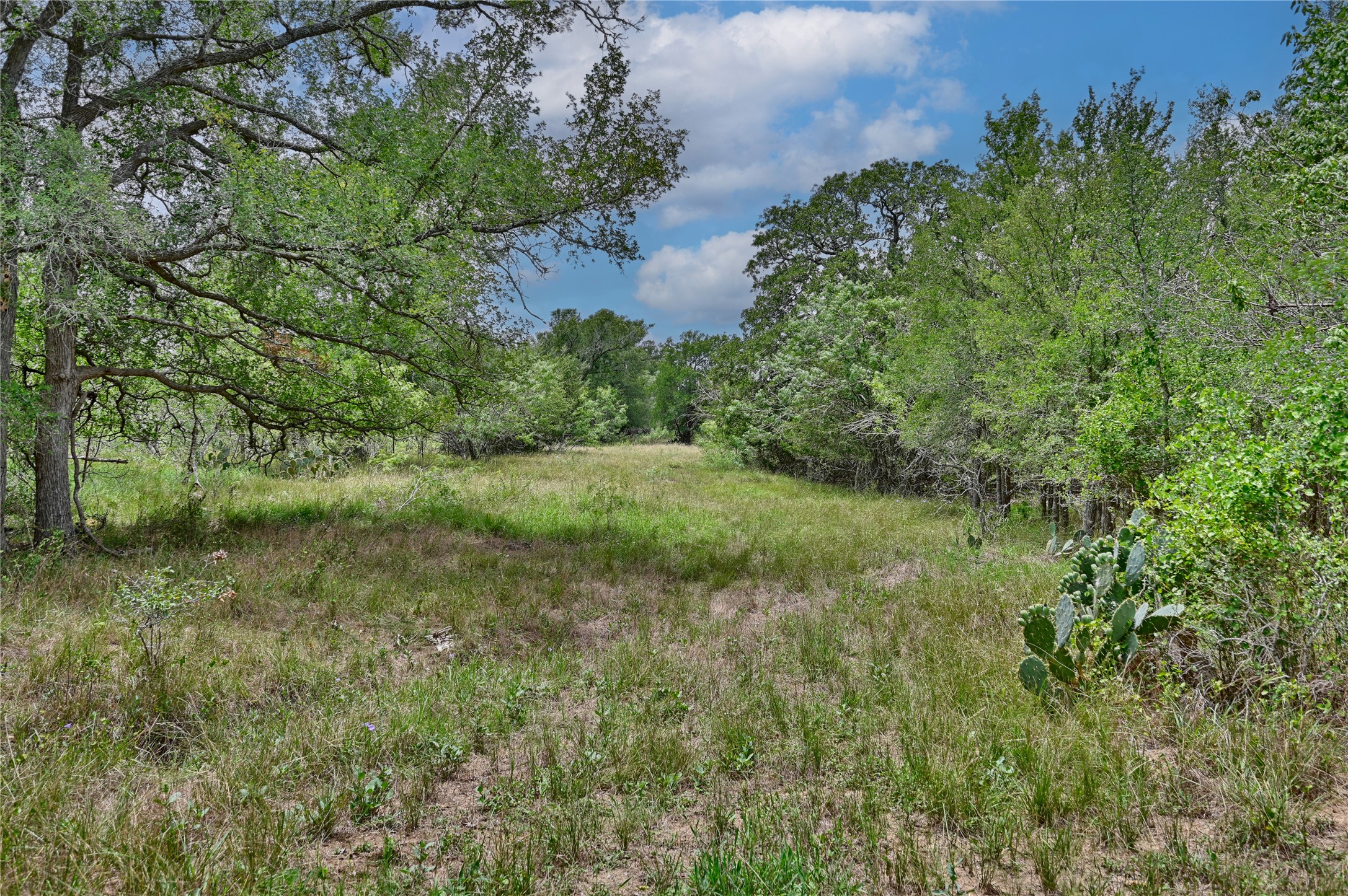 3-8 Starlight Path Red Rock, TX 78662 - Photo 7 of 18