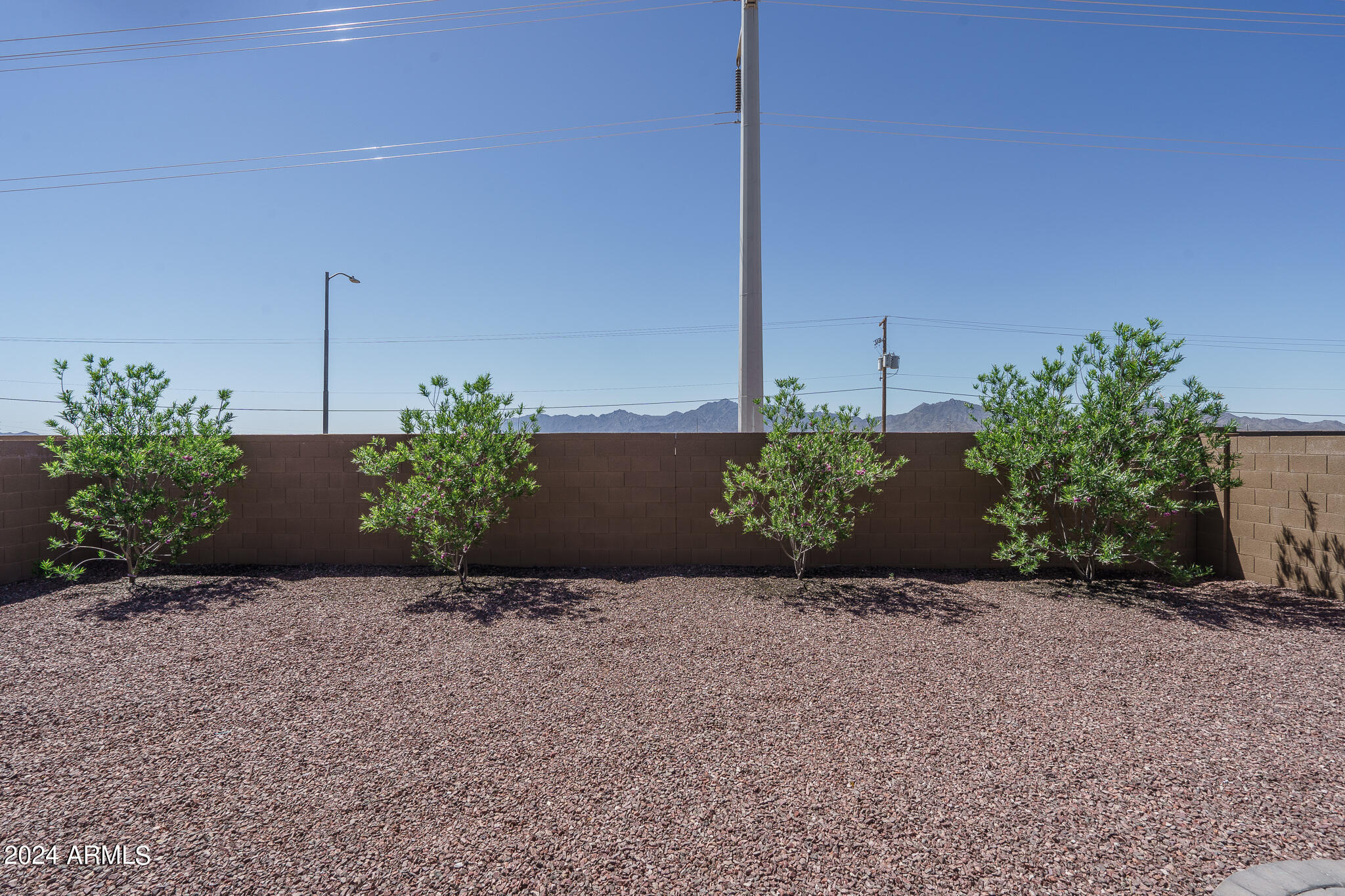 9639 West Trumbull Road Tolleson, AZ 85353 - Photo 24 of 26 24) BACKYARD