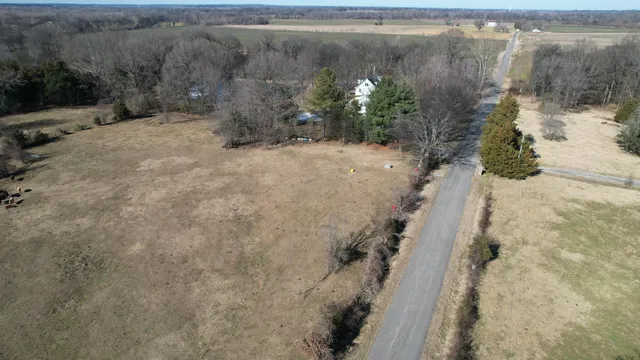 a view of a yard with trees