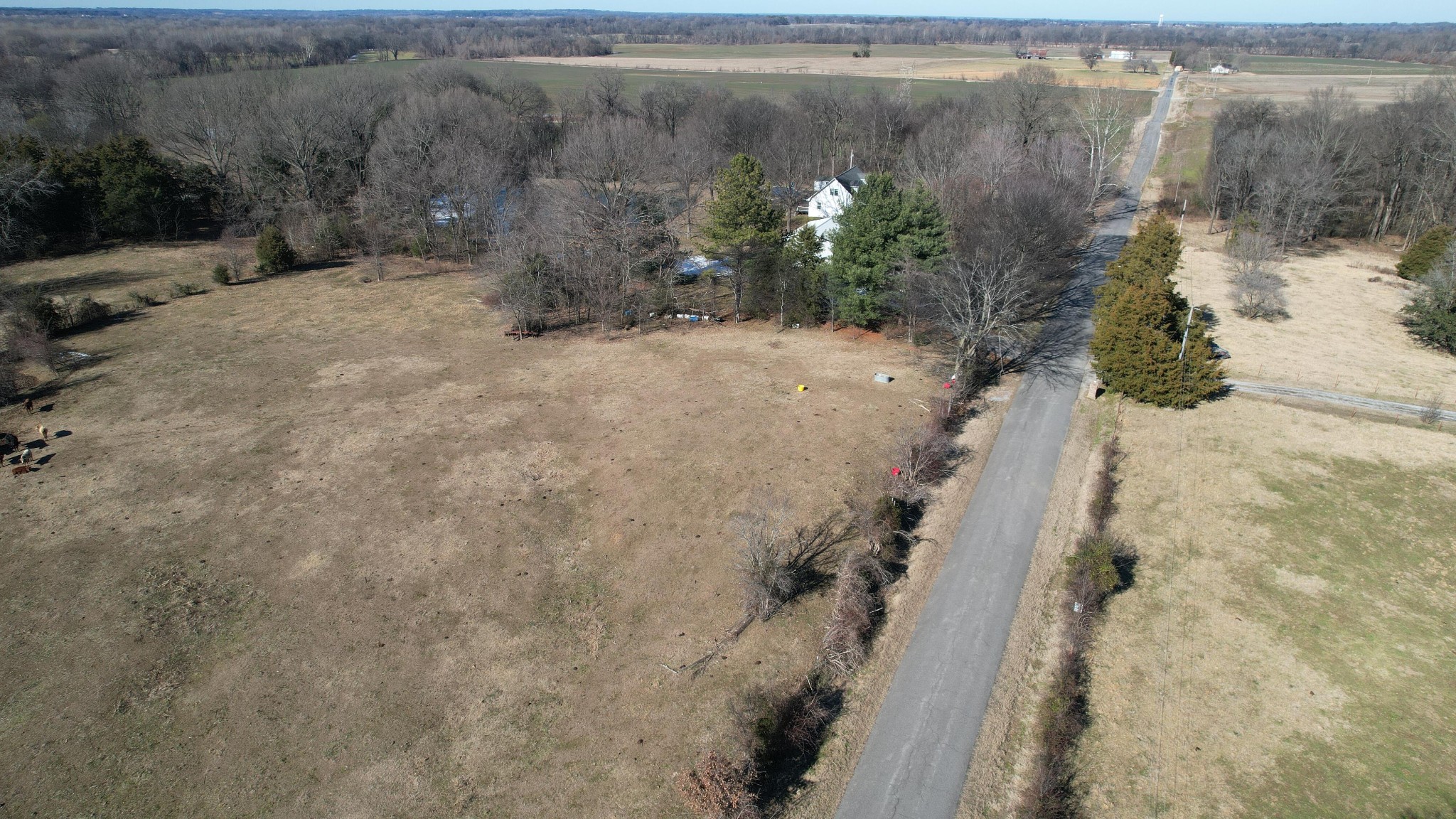 0 Welch Road Newbern, TN 38059 - Photo 6 of 9