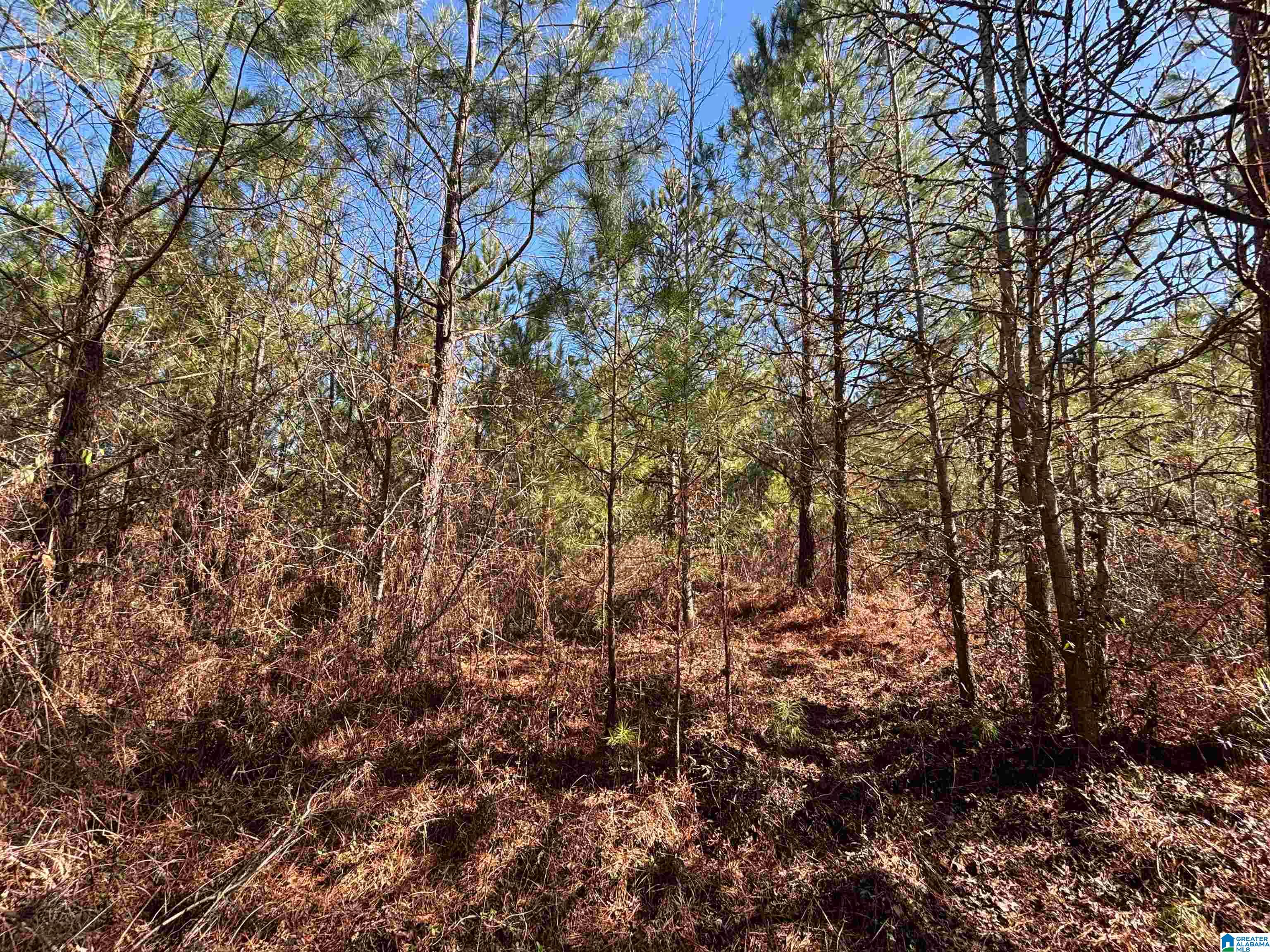 7380 Narrows Road, Unit 148 / ACRES Pinson, AL 35126 - Photo 14 of 22
