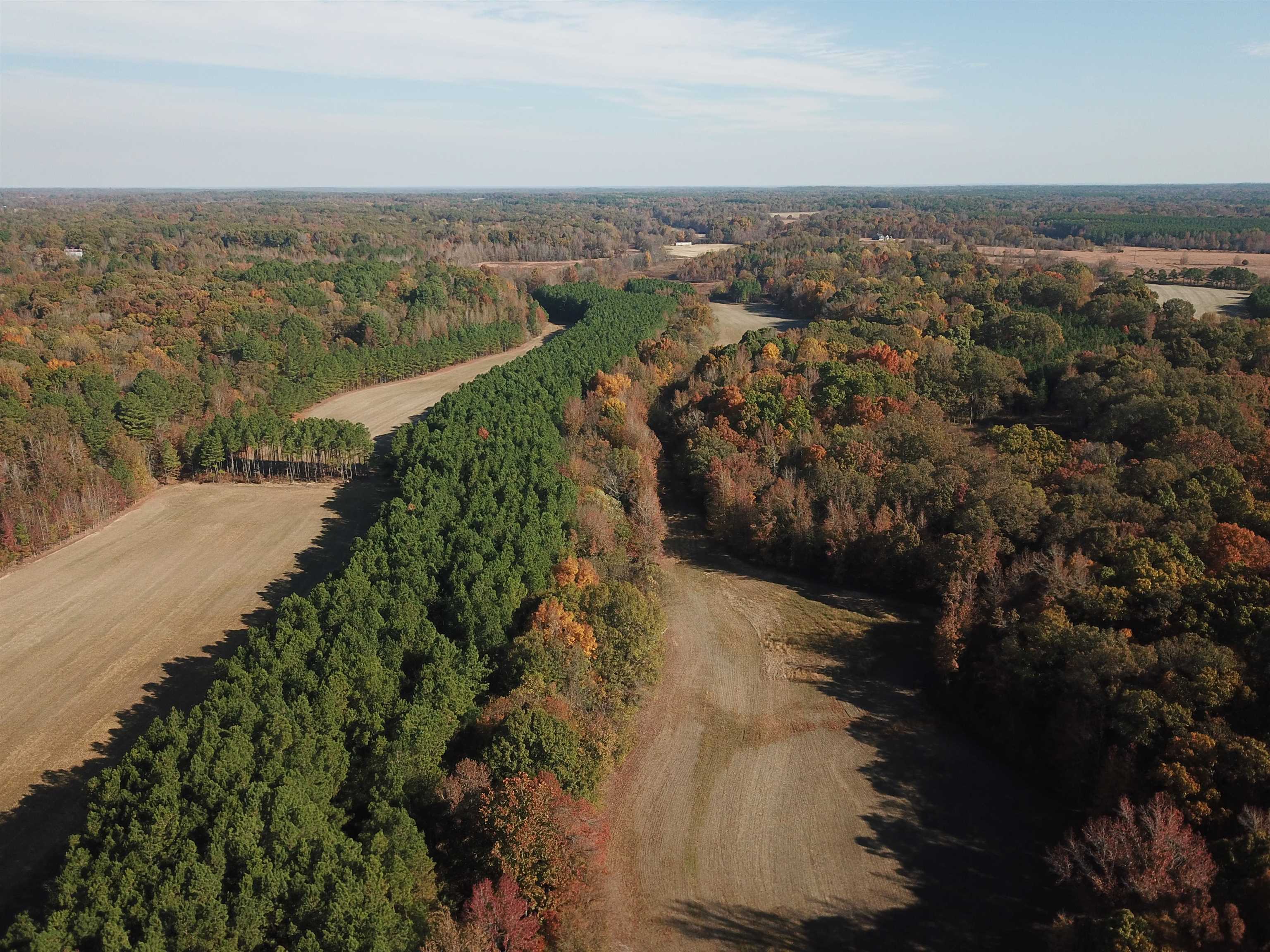0 Duck Pond Road Holly Springs, MS 38635 - Photo 17 of 25 Gallery Image 17