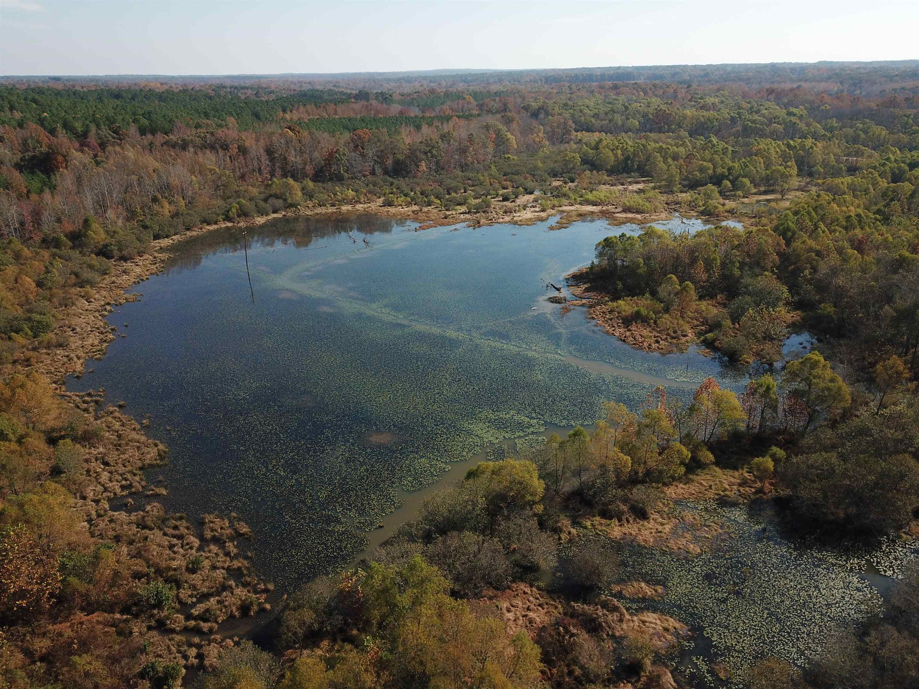 0 Duck Pond Road Holly Springs, MS 38635 - Photo 19 of 25 Gallery Image 19