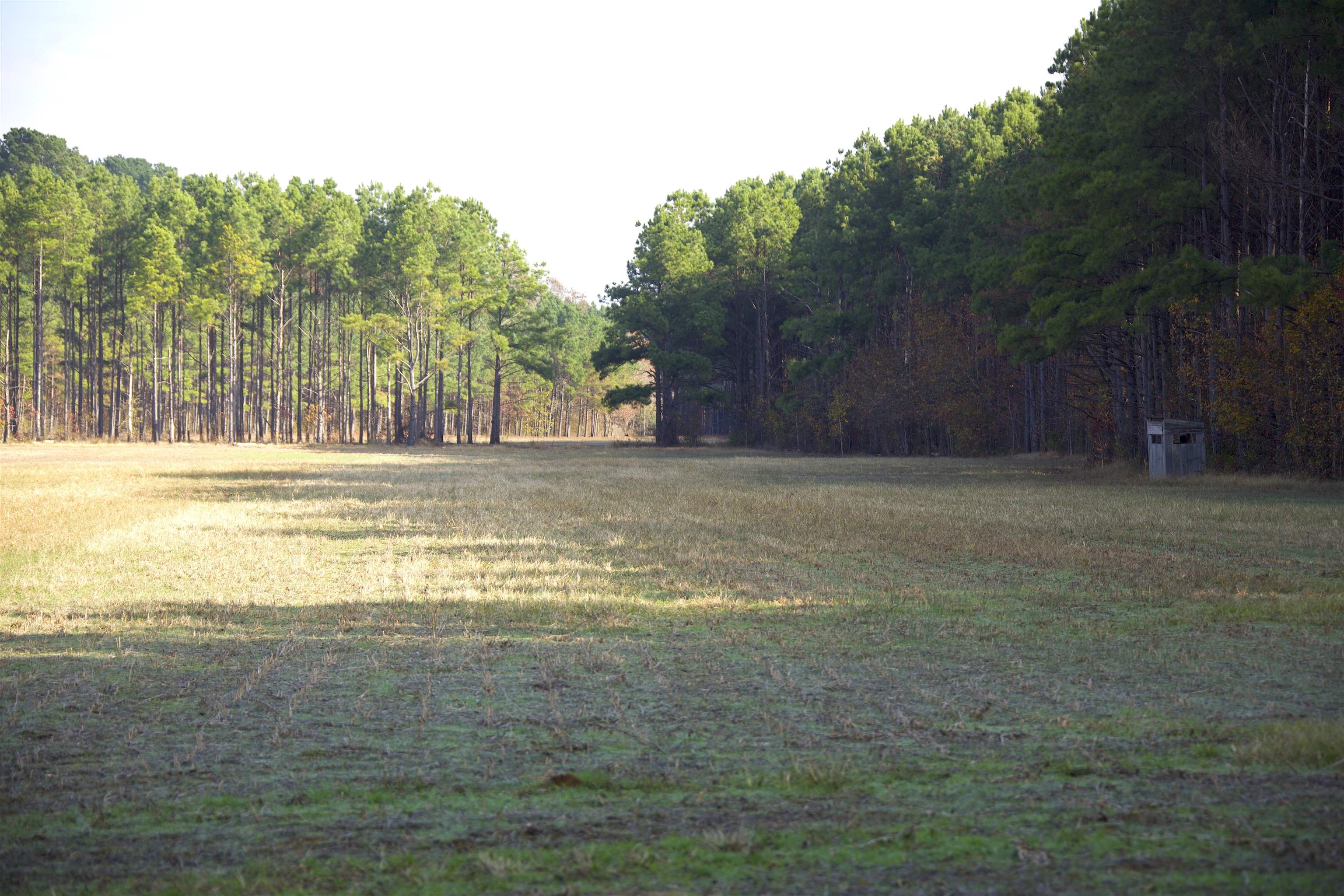 0 Duck Pond Road Holly Springs, MS 38635 - Photo 25 of 25 Gallery Image 25