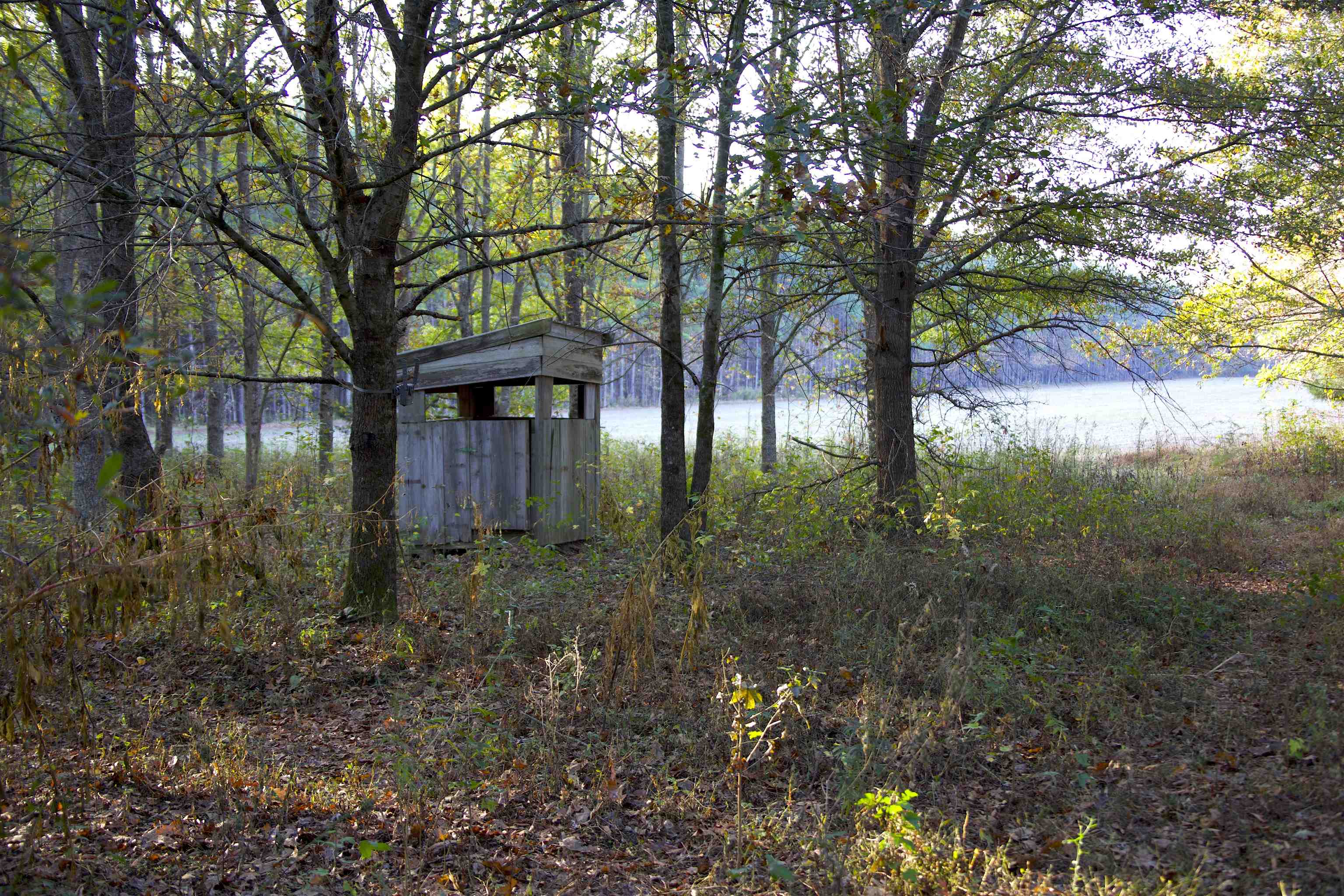 0 Duck Pond Road Holly Springs, MS 38635 - Photo 3 of 25 Gallery Image 3