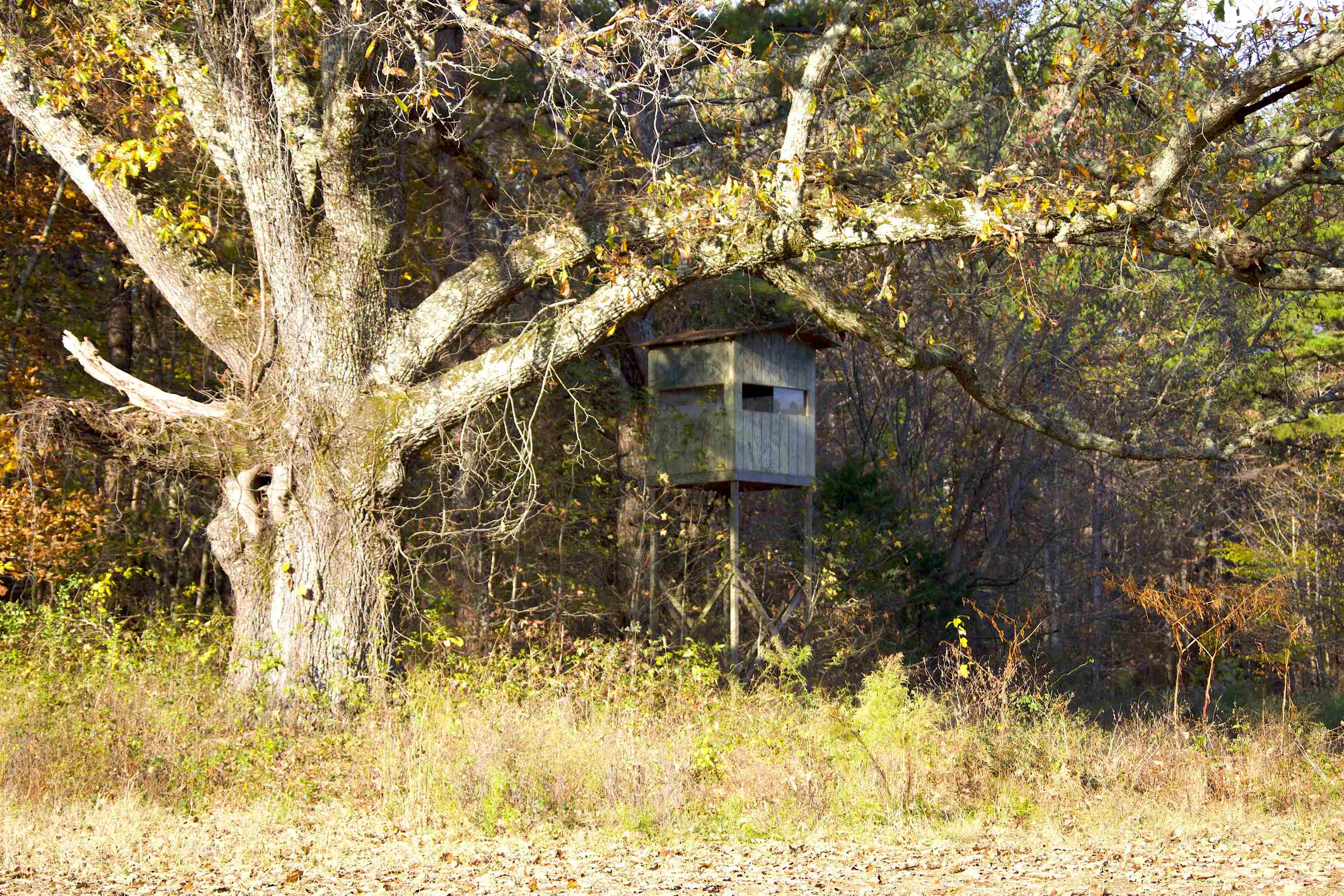 0 Duck Pond Road Holly Springs, MS 38635 - Photo 4 of 25 Gallery Image 4