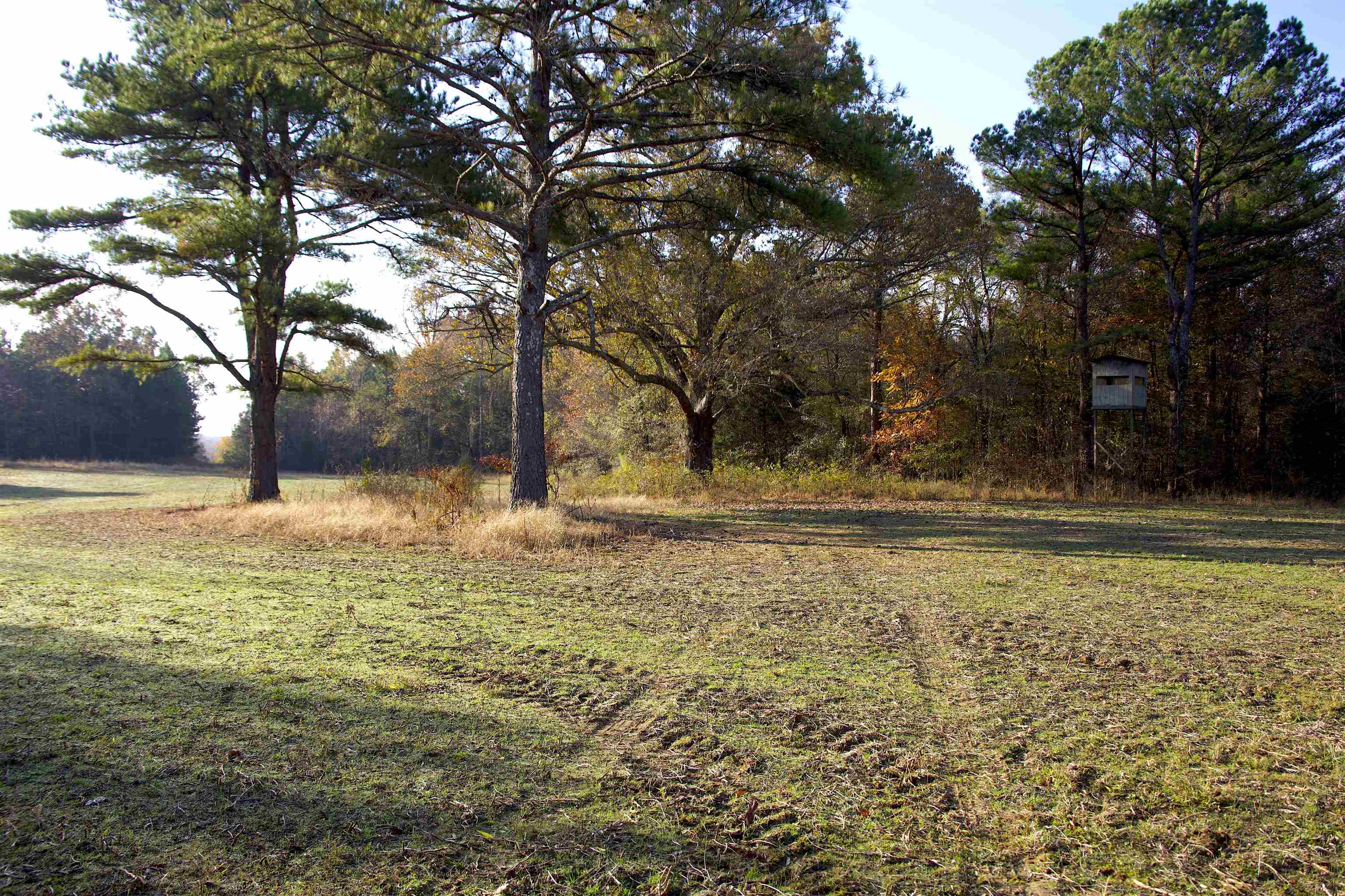 0 Duck Pond Road Holly Springs, MS 38635 - Photo 5 of 25 Gallery Image 5