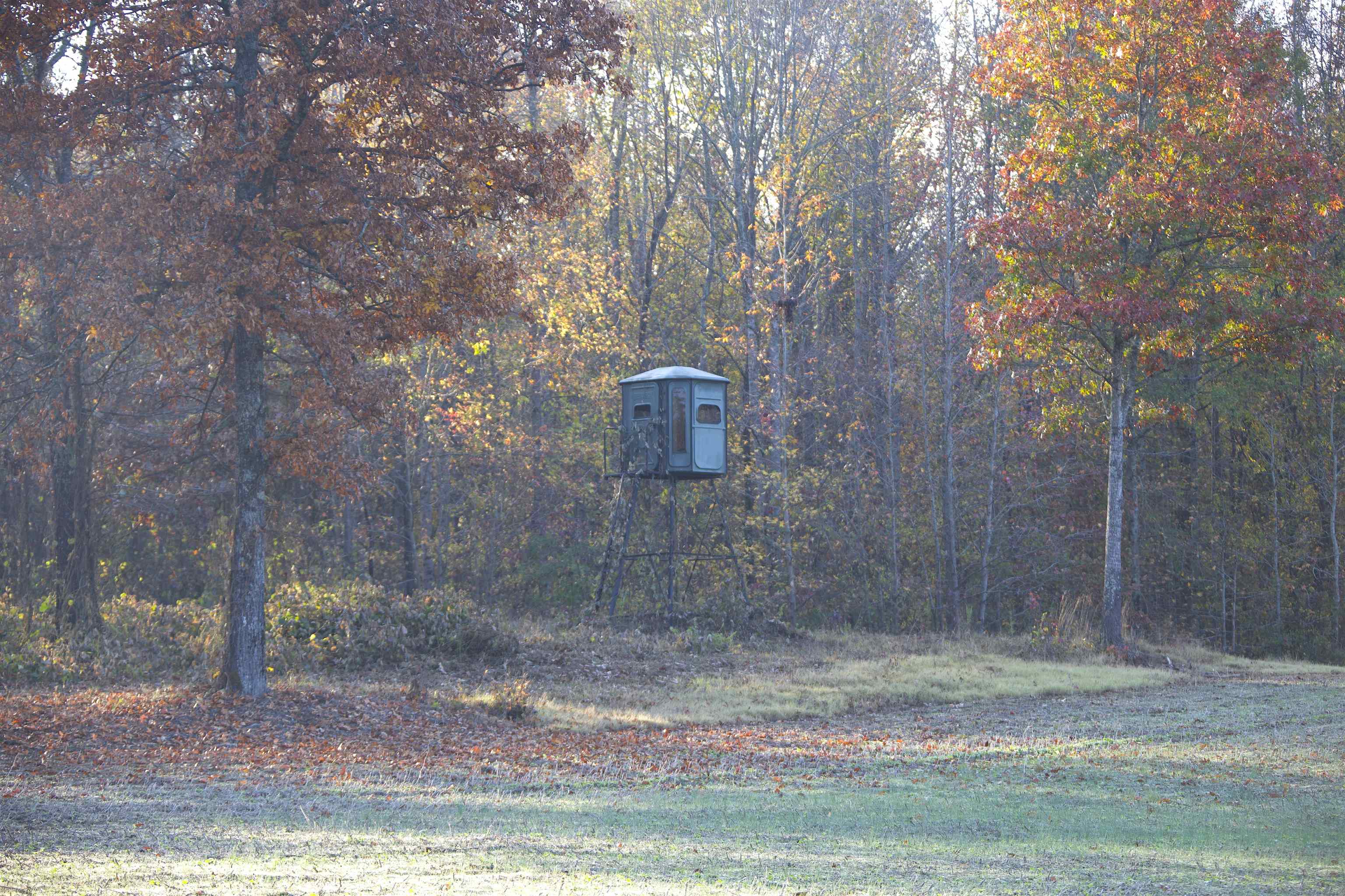 0 Duck Pond Road Holly Springs, MS 38635 - Photo 6 of 25 Gallery Image 6