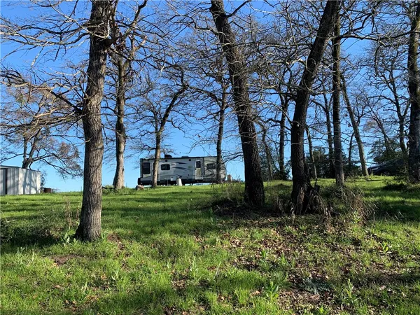 a view of a garden with large trees