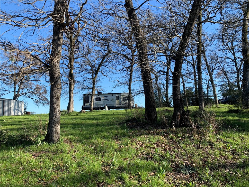 a view of a garden with large trees