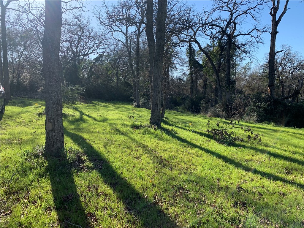 482 Lcr 794 Mexia, TX 76667 - Photo 3 of 10 a view of backyard with green space