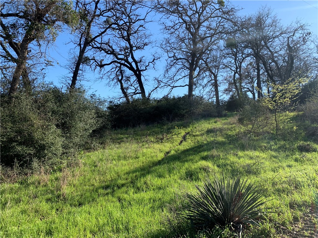 482 Lcr 794 Mexia, TX 76667 - Photo 4 of 10 a view of outdoor space and yard