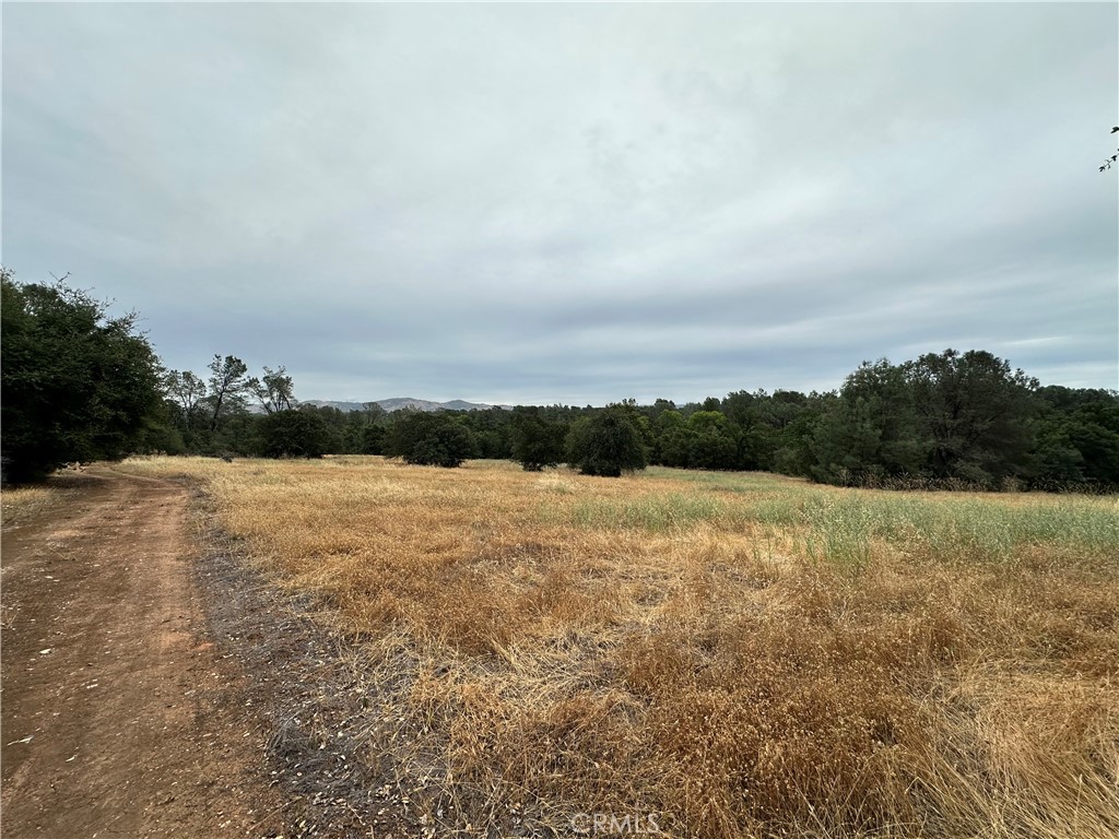 414 Beaver Road Oroville, CA 95966 - Photo 2 of 10