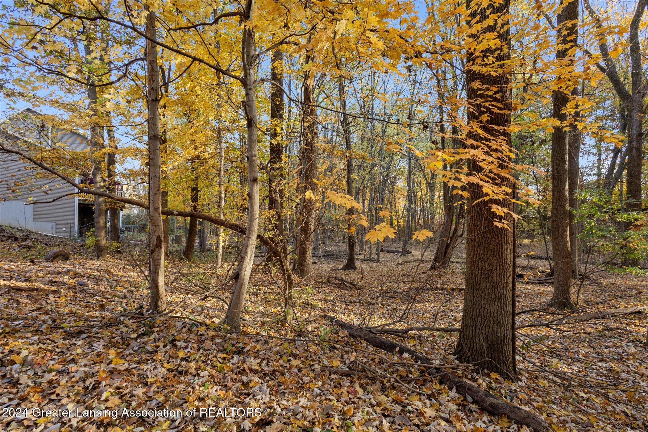 0 Williamsburg Road Lansing, MI 48917 - Photo 10 of 34 08-0-Williamsburg-Rd-Lansing-MI-48917-Wi