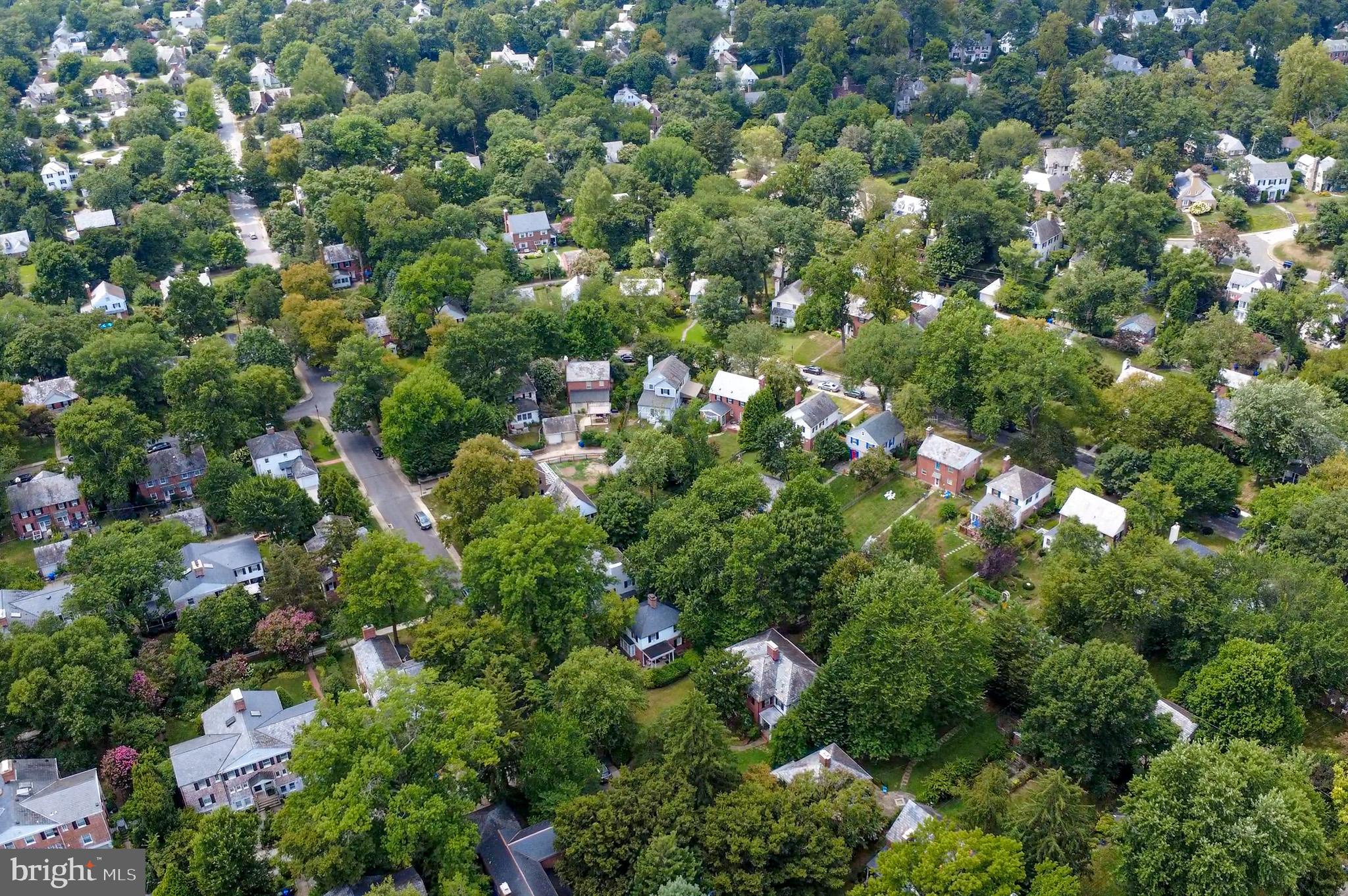 310 Paddington Road Baltimore, MD 21212 - Photo 52 of 59 a view of a bunch of flowers