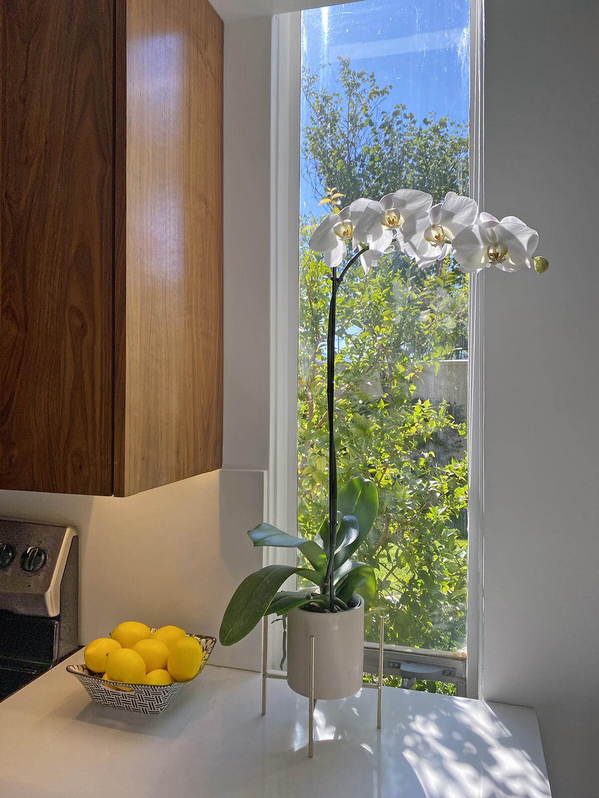 360 Cabrillo Road, Unit 202 Palm Springs, CA 92262 - Photo 25 of 49 ORCHID VIGNETTE MLS
