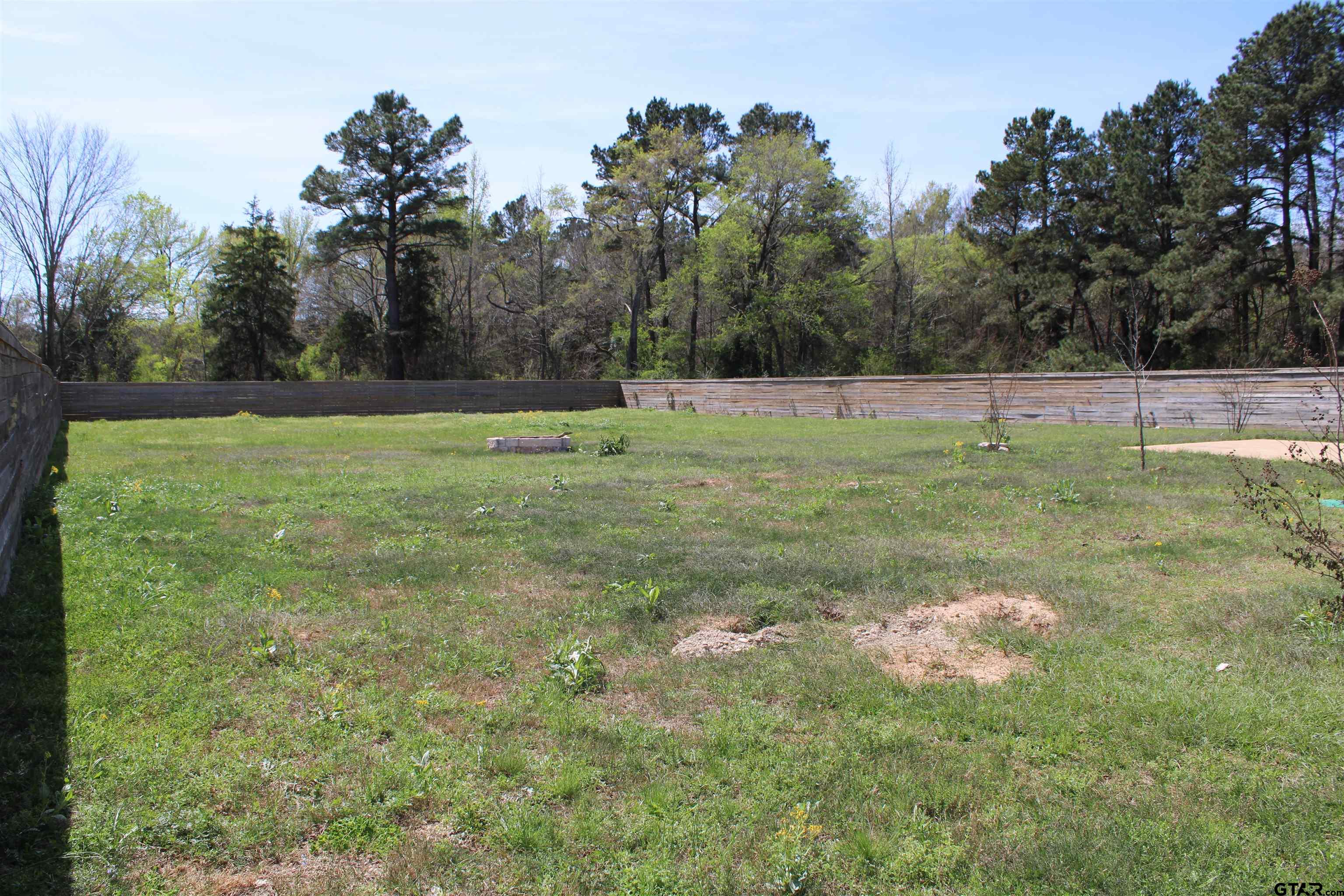 14965 Turtle Crk Rnch Road Flint, TX 75762 - Photo 21 of 26 a backyard of a house with lots of green space