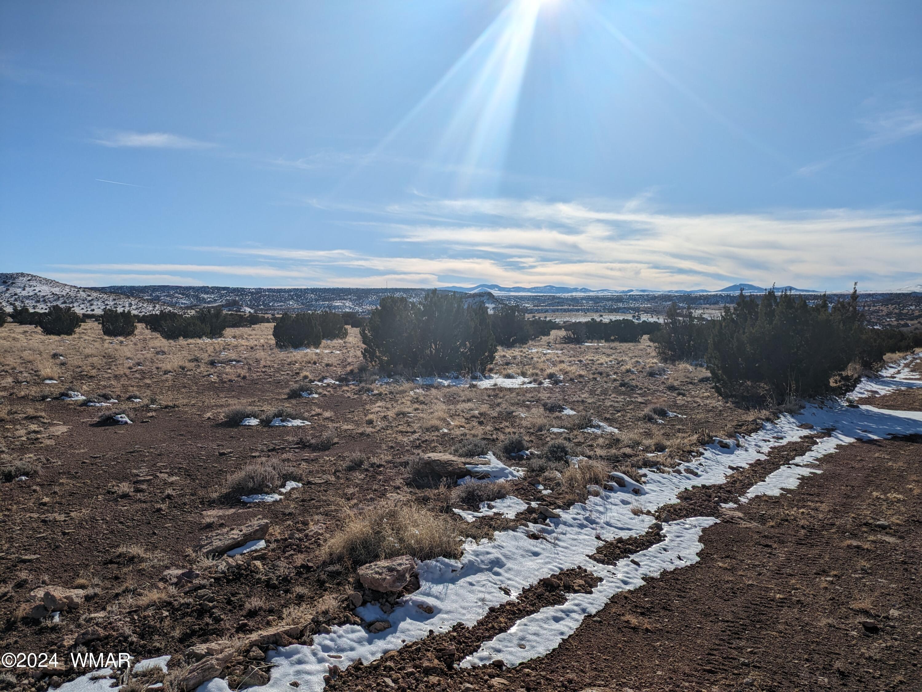 Lot 120 River Springs Ranch, Unit 3 St. Johns, AZ 85936 - Photo 2 of 8