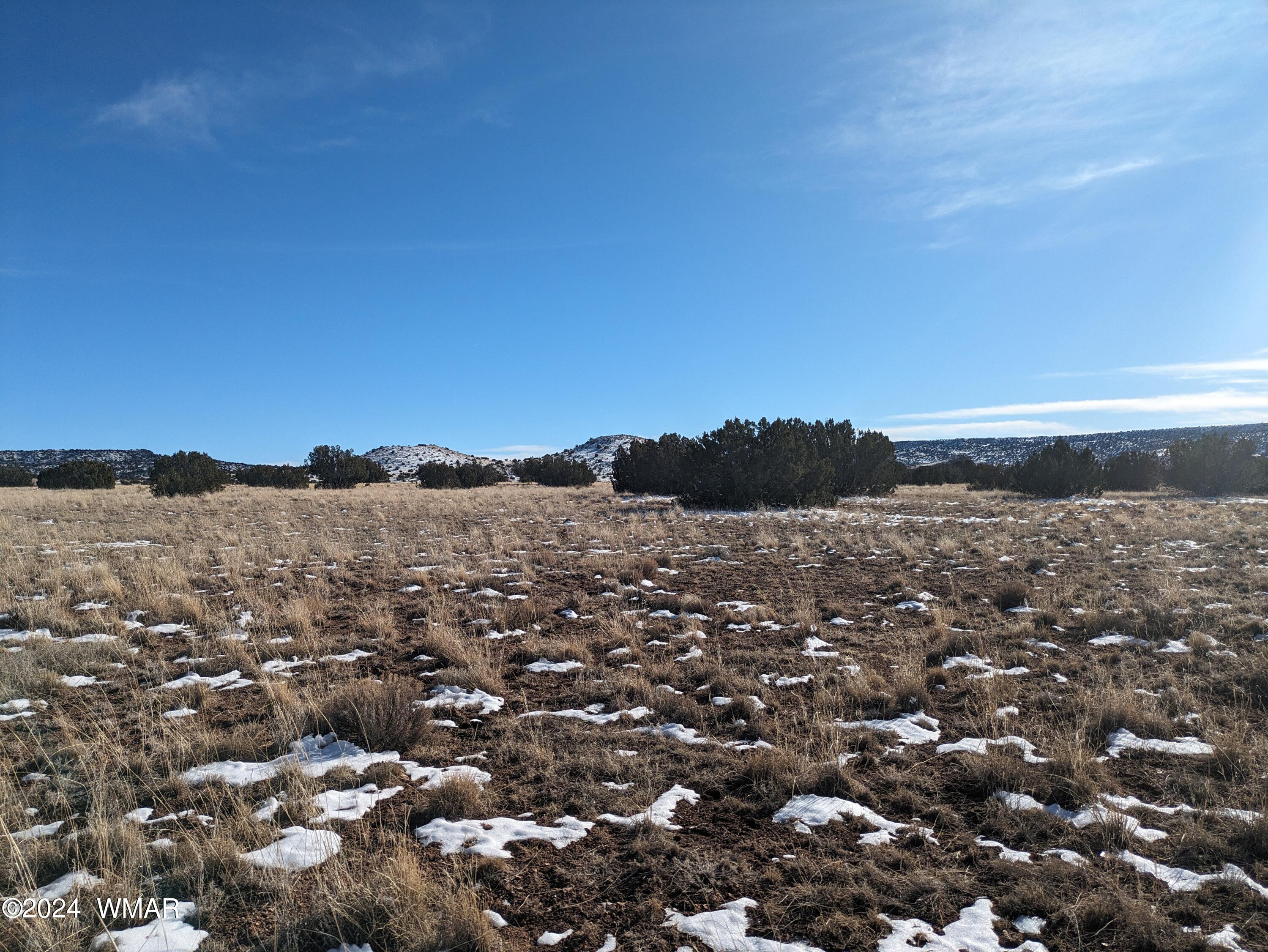Lot 120 River Springs Ranch, Unit 3 St. Johns, AZ 85936 - Photo 4 of 8 a view of a city