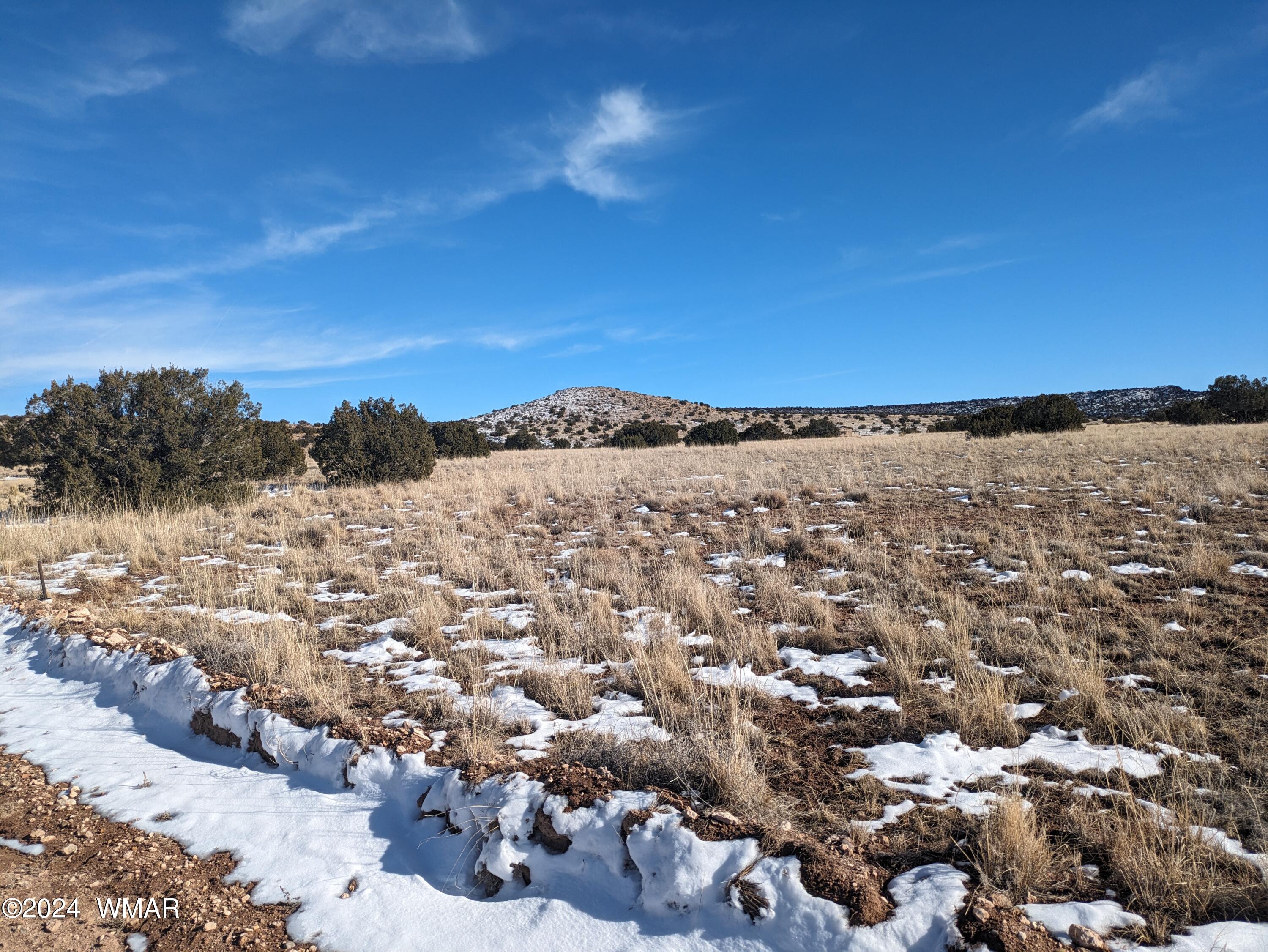 Lot 120 River Springs Ranch, Unit 3 St. Johns, AZ 85936 - Photo 5 of 8 a view of a city