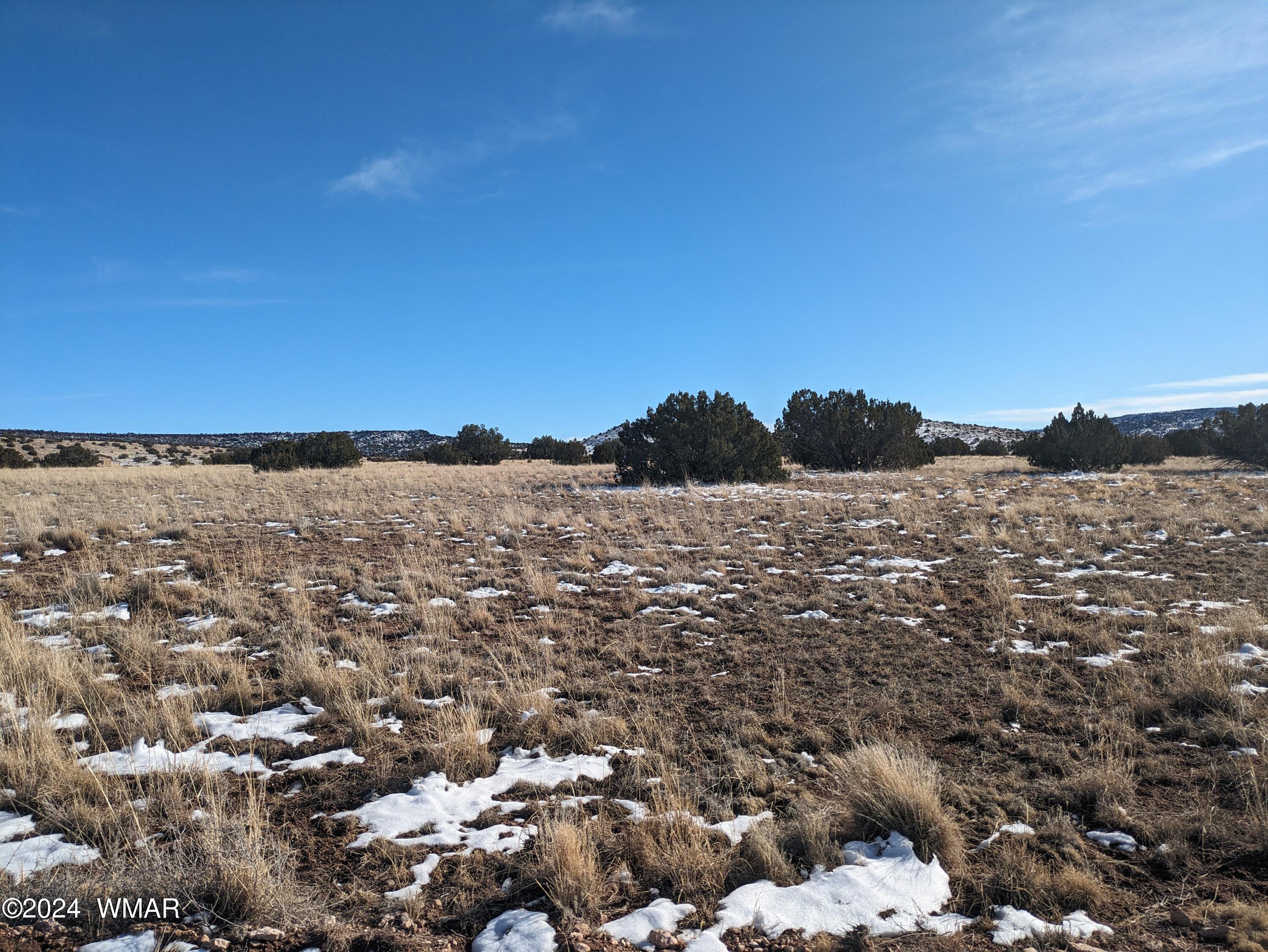 Lot 120 River Springs Ranch, Unit 3 St. Johns, AZ 85936 - Photo 6 of 8 a view of mountain view