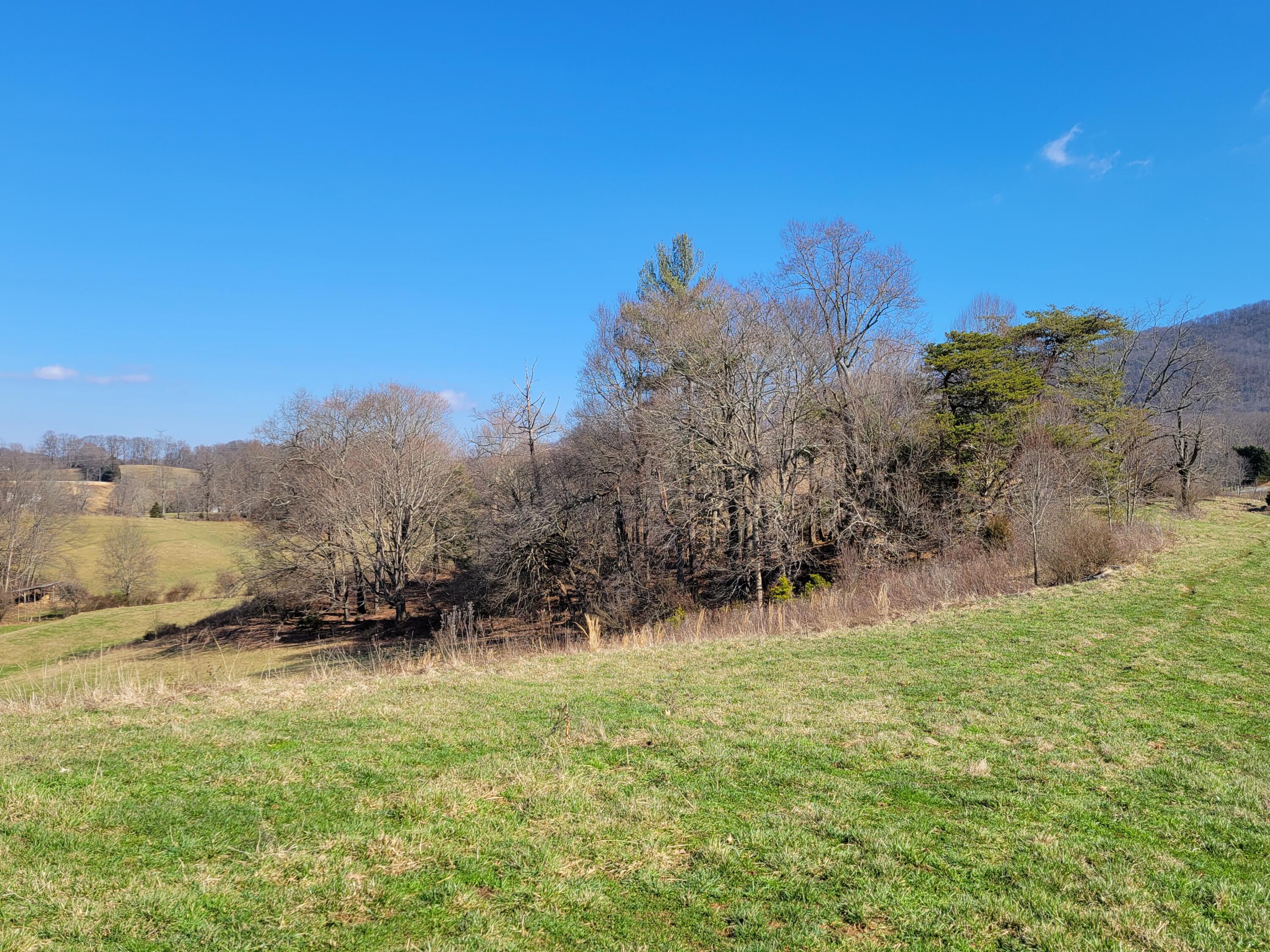 5 Cherokee Mountain Road, Unit 5 Jonesborough, TN 37659 - Photo 1 of 3 20230203_134201
