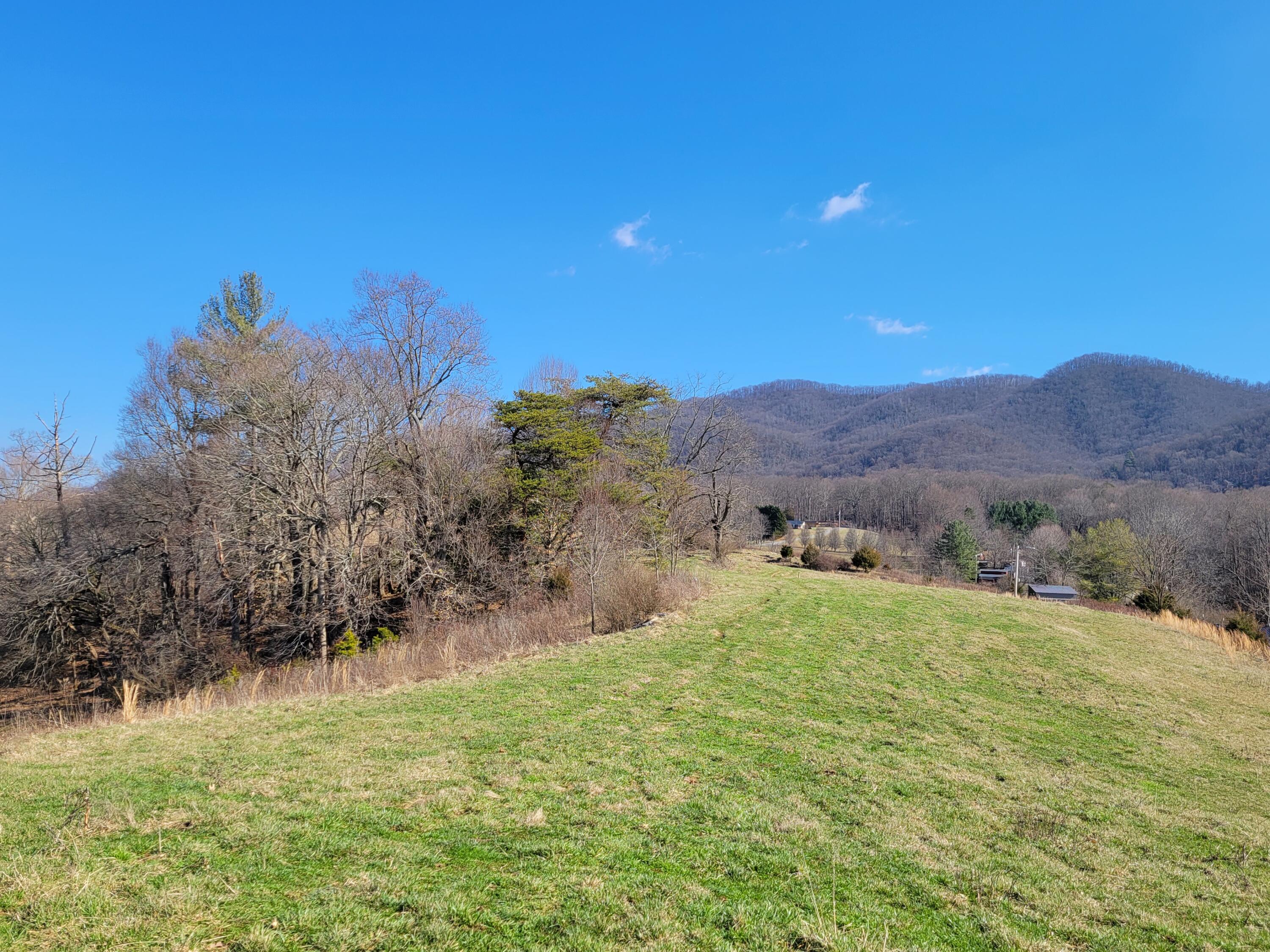 5 Cherokee Mountain Road, Unit 5 Jonesborough, TN 37659 - Photo 2 of 3 20230203_134208