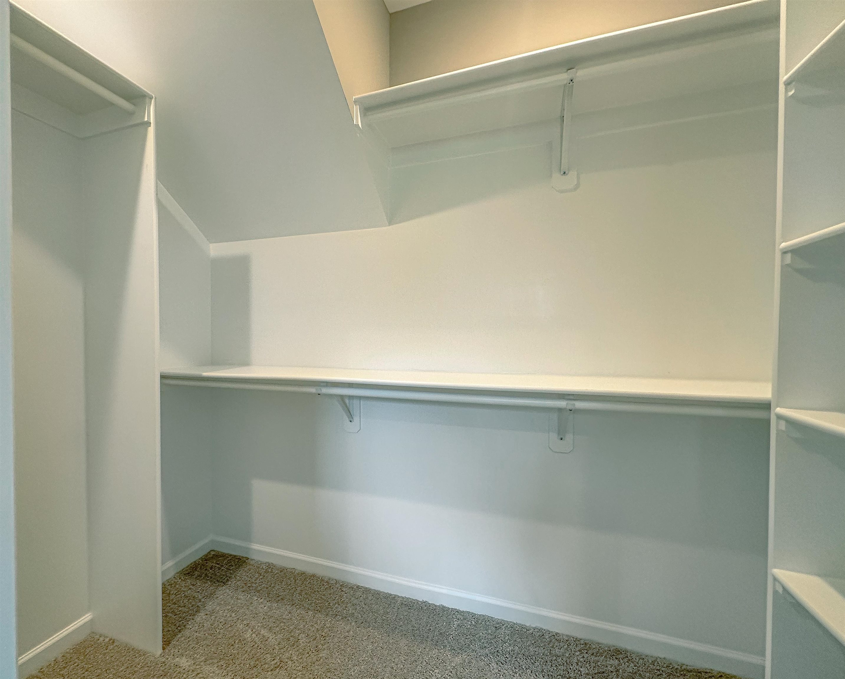 126 Stewart Road Munford, TN 38058 - Photo 17 of 23 Walk in closet featuring light colored carpet